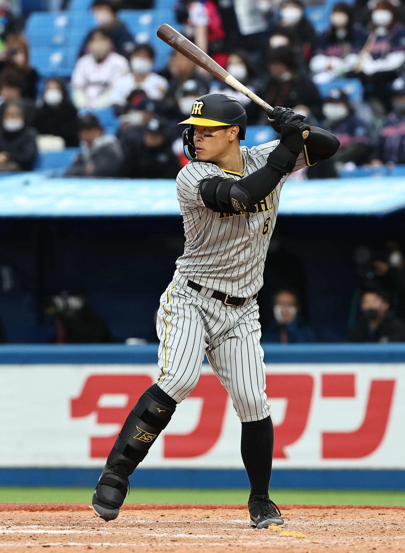 ヤクルト対阪神　佐藤輝明の打撃フォーム（撮影・上田博志）