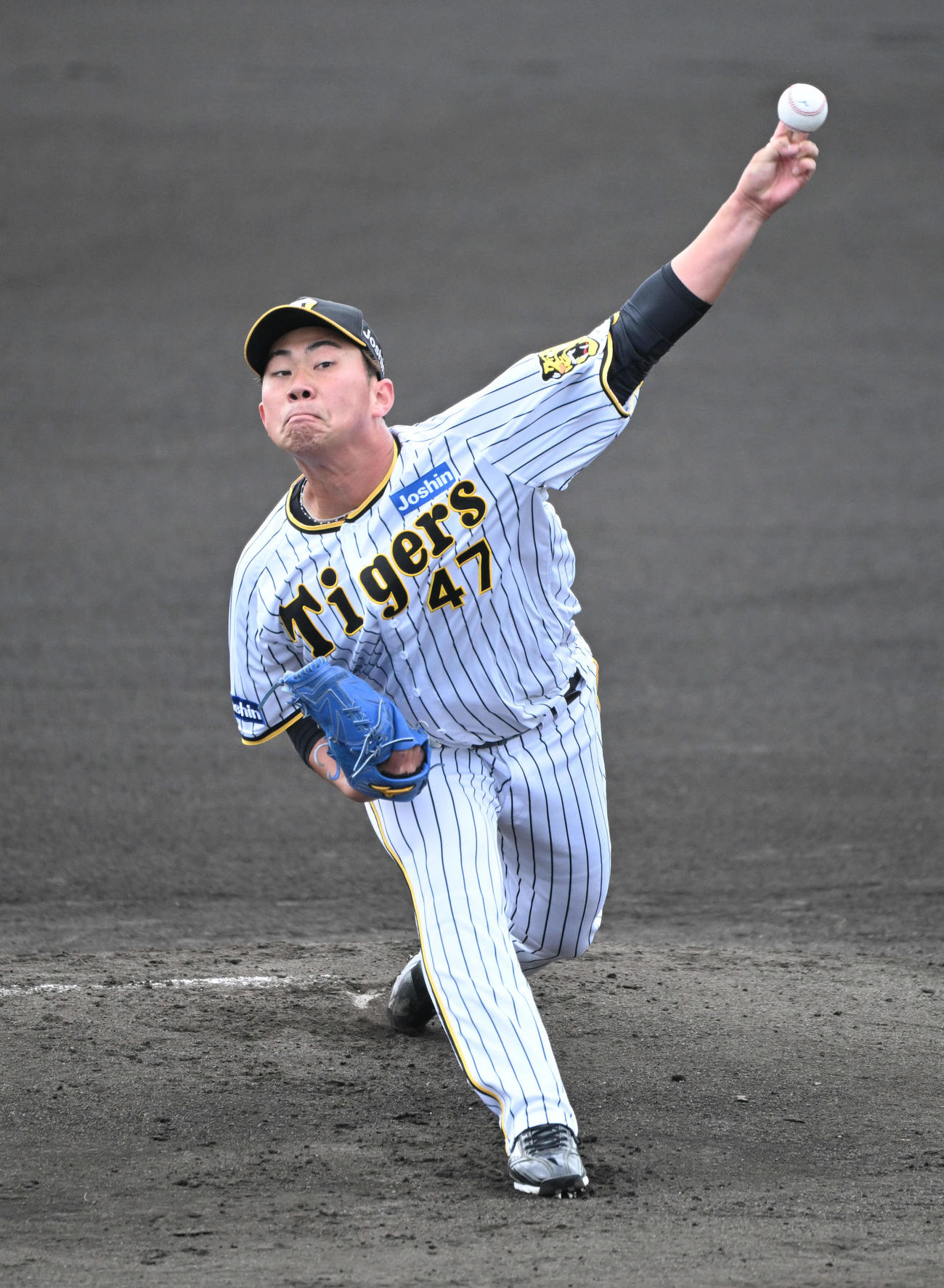阪神対広島　先発登板をする阪神桐敷（撮影・石井愛子）