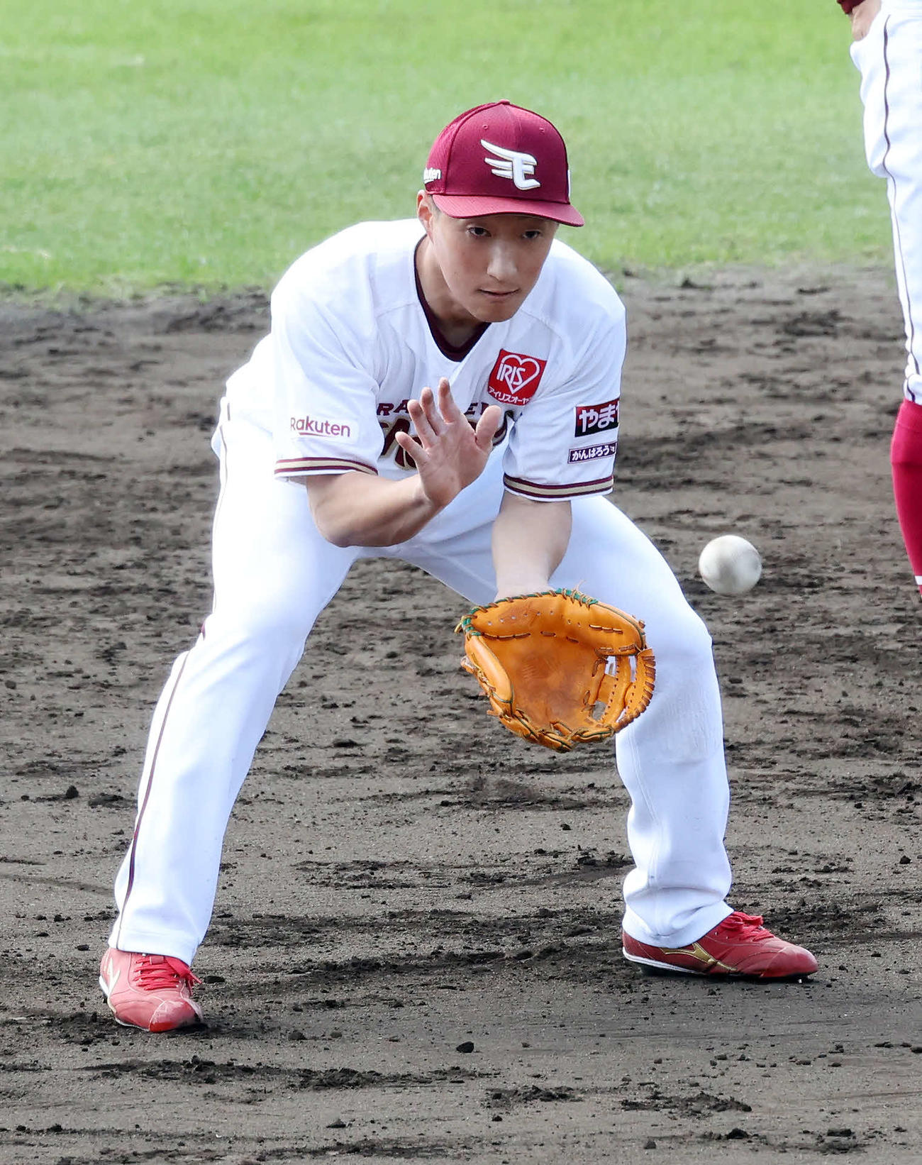 楽天小深田大翔（2023年2月3日撮影）