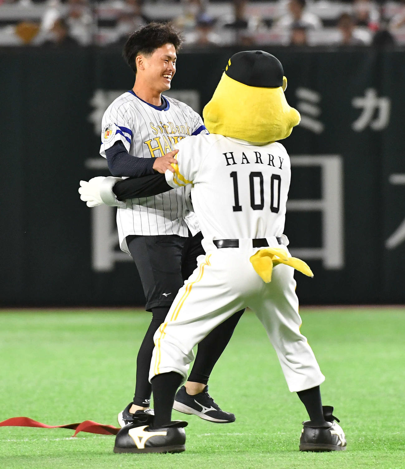 ソフトバンク対DeNA　センターからセレモニアルピッチのマウンドへ激走し、ゴールした西宮神社福男選びで今年の一番福の植本亮太さんはハリーホークに受け止められる（撮影・岩下翔太）