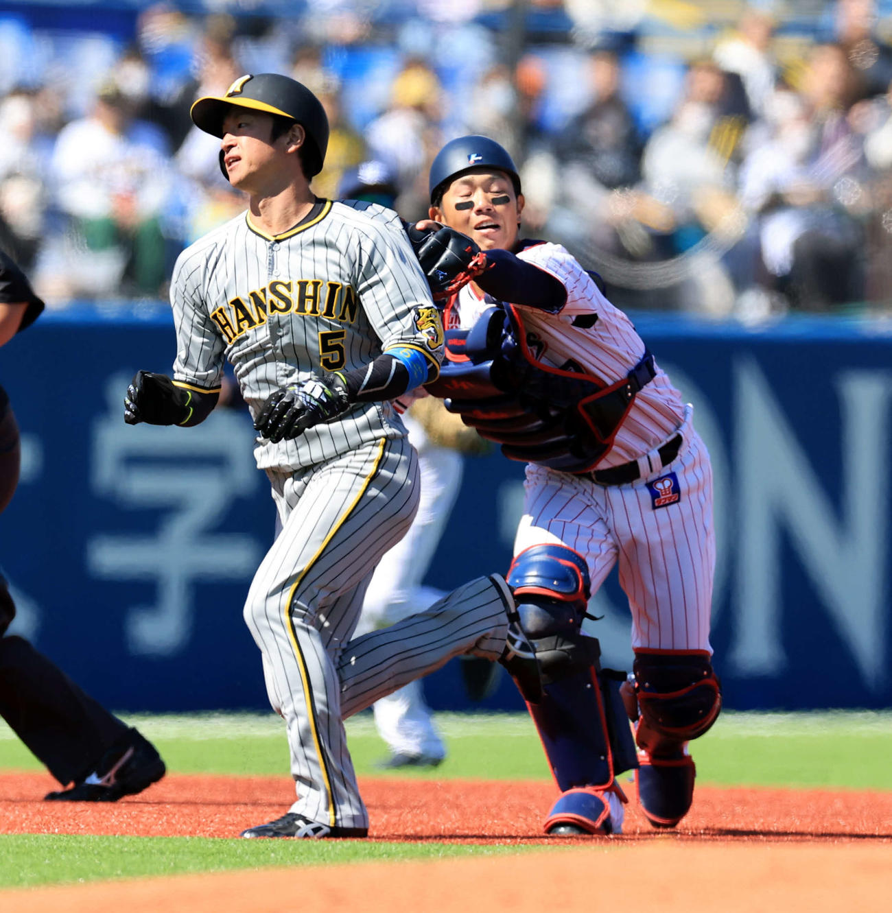 ヤクルト対阪神　1回表阪神無死二塁、森下の投ゴロで飛び出した近本（左）は二、三塁間で挟殺される。捕手古賀（撮影・浅見桂子）