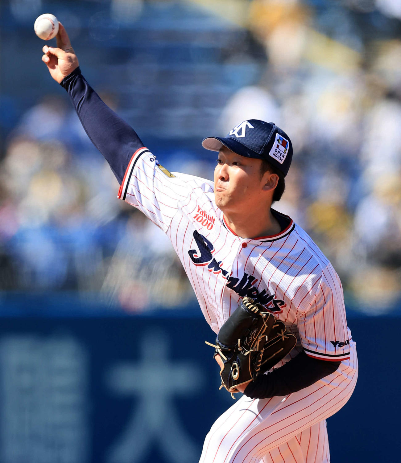 ヤクルト対阪神　力投するヤクルト先発の吉村（撮影・浅見桂子）