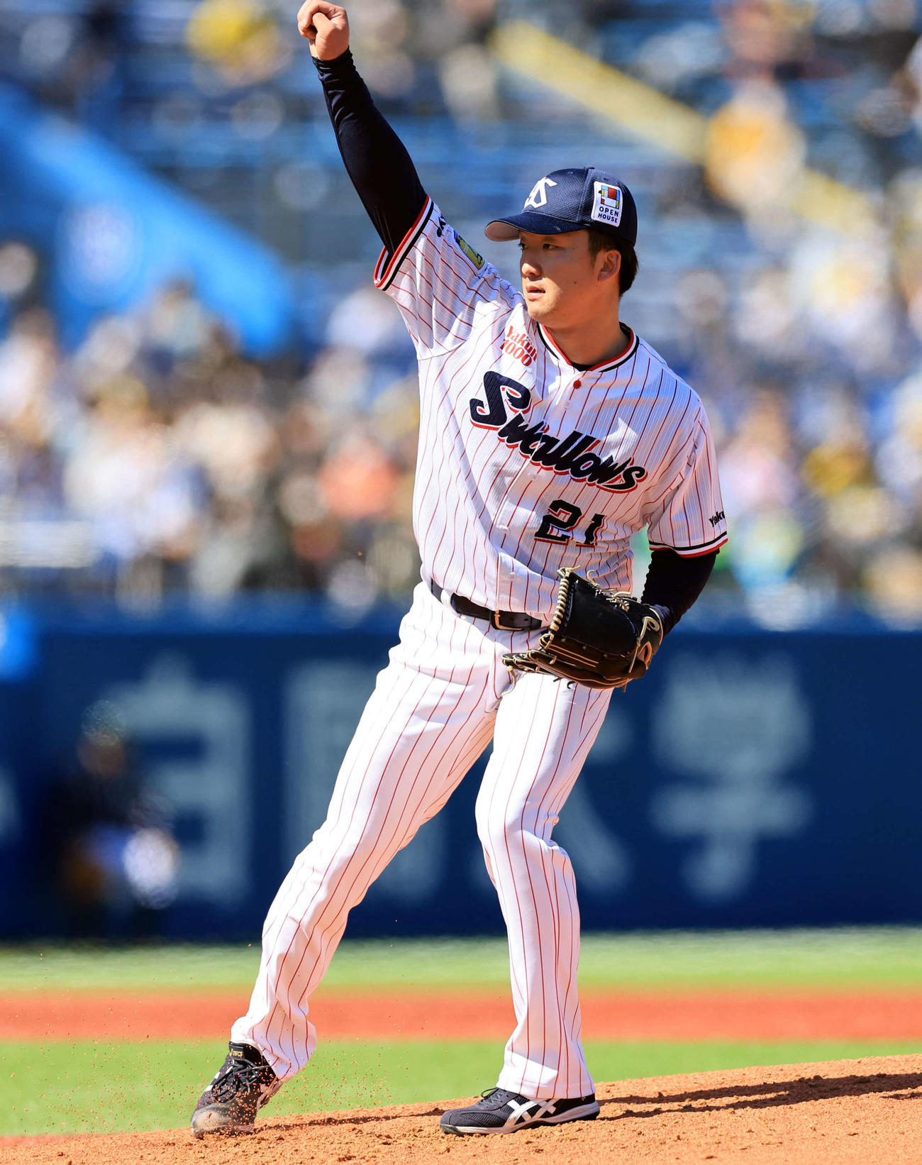 ヤクルト対阪神　力投するヤクルト先発の吉村（撮影・浅見桂子）