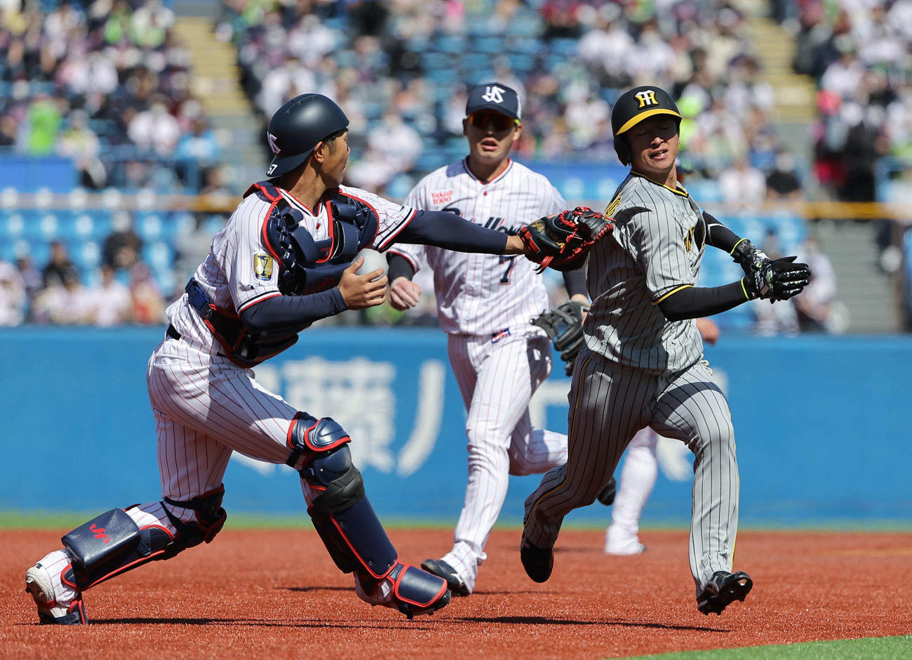 ヤクルト対阪神　1回表阪神無死二塁、近本は森下の投ゴロで二三塁間に挟まれ憤死する（撮影・上田博志）