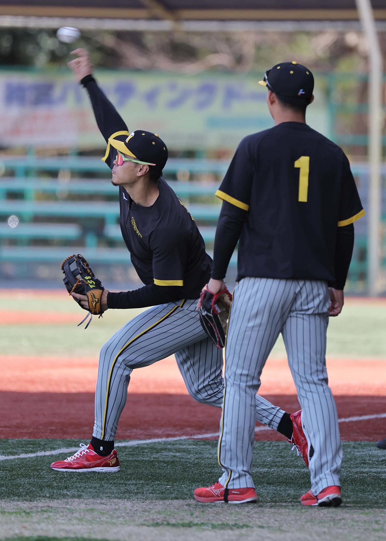 キャッチボールをする佐藤輝（左）と森下（撮影・上田博志）