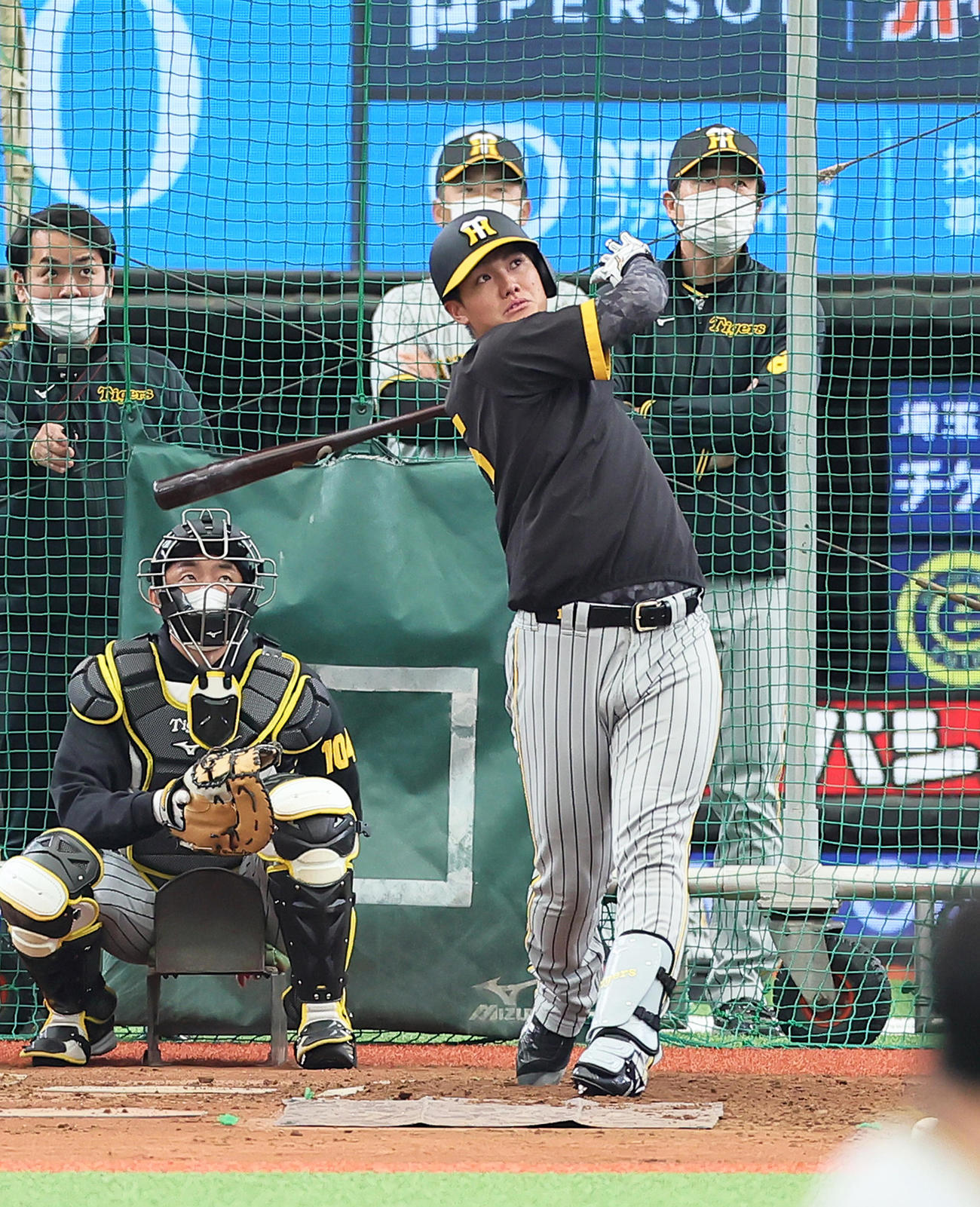 試合前、フリー打撃を行う阪神西純（撮影・足立雅史）