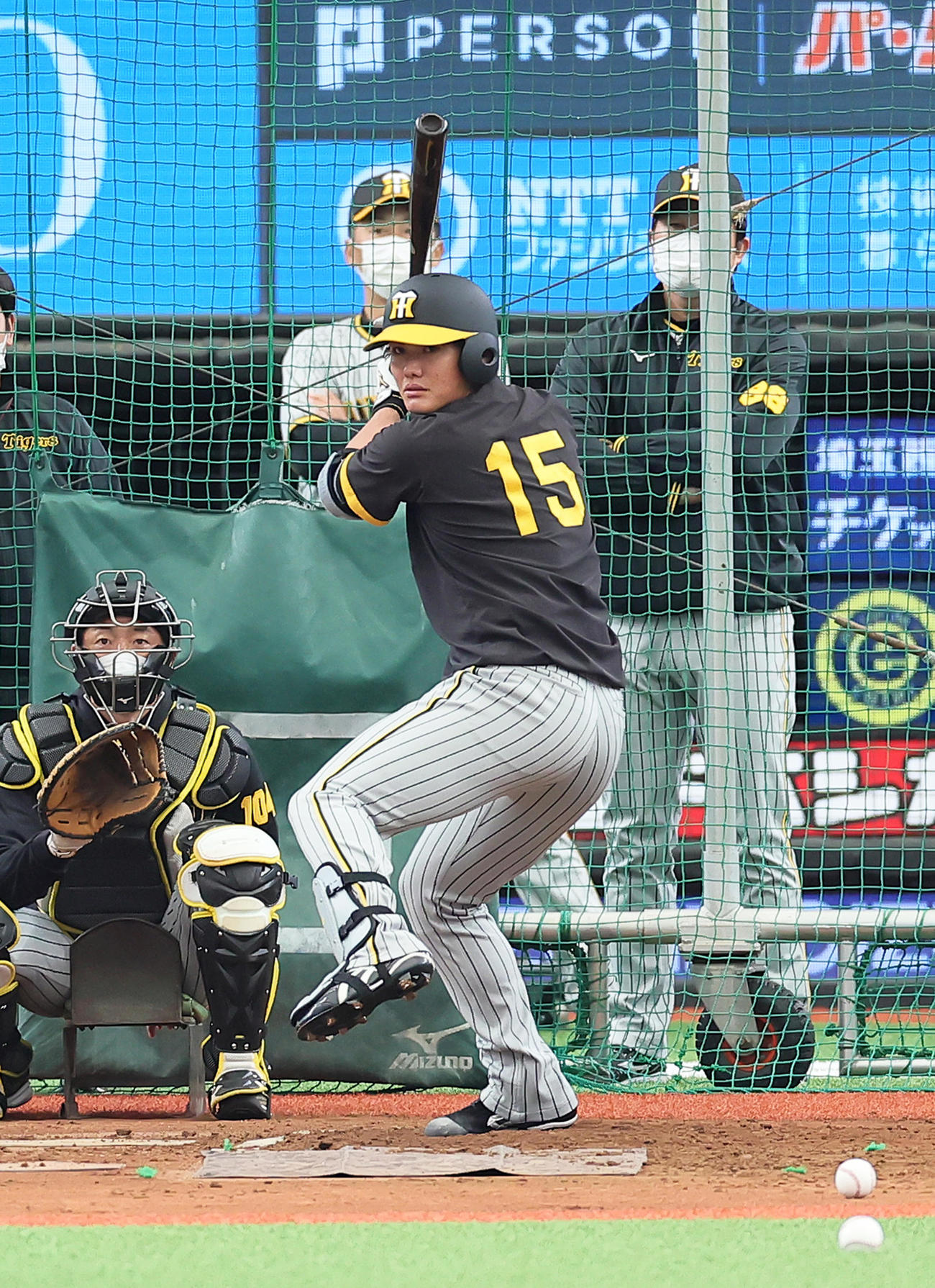 試合前、フリー打撃を行う阪神西純（撮影・足立雅史）