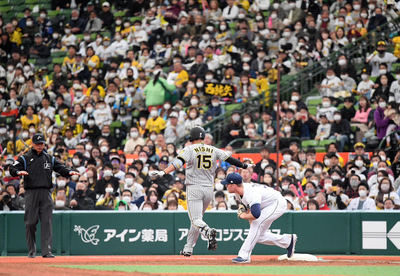 西武対阪神　3回表阪神2死、投手松本に打球が当たり、必死で一塁を駆け抜けた西純は投安とする（撮影・たえ見朱実）