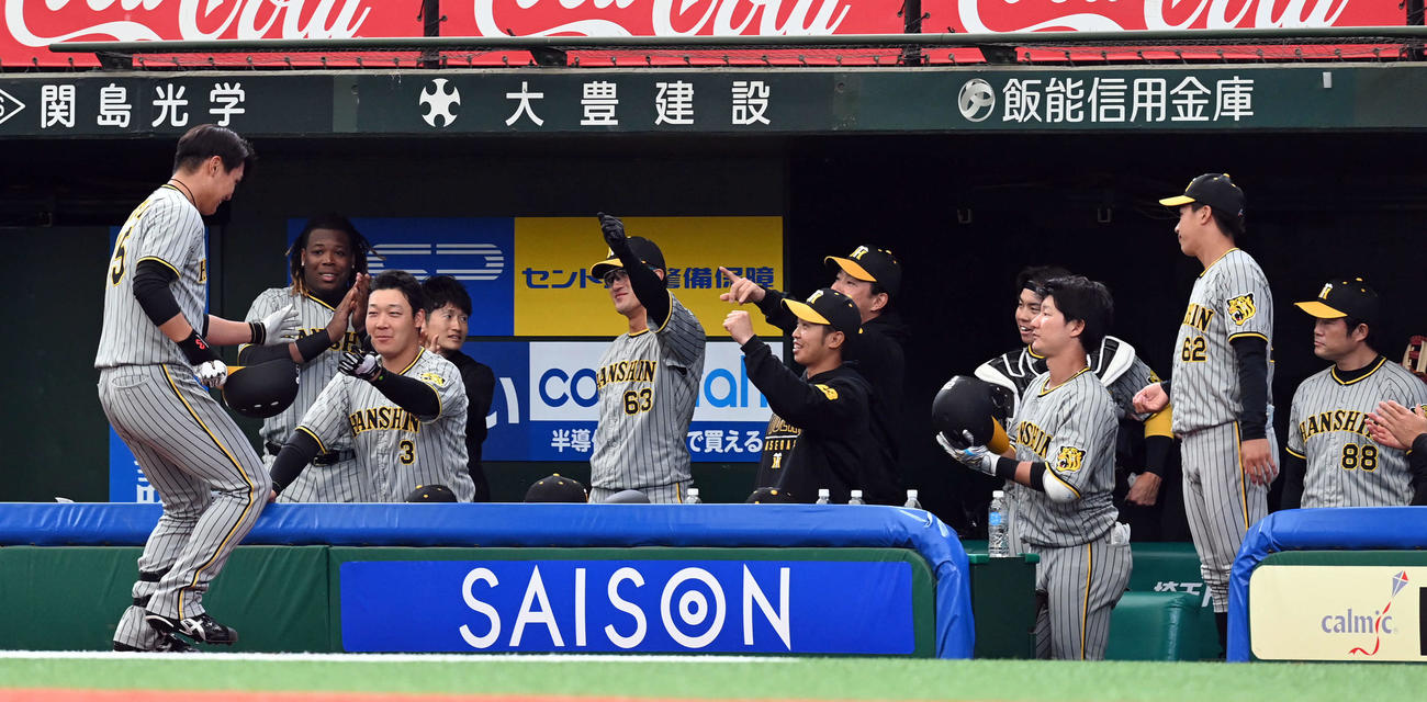 西武対阪神　3回表阪神2死、DHで打席に立ち投安を放った西純を迎えるナイン（撮影・たえ見朱実）