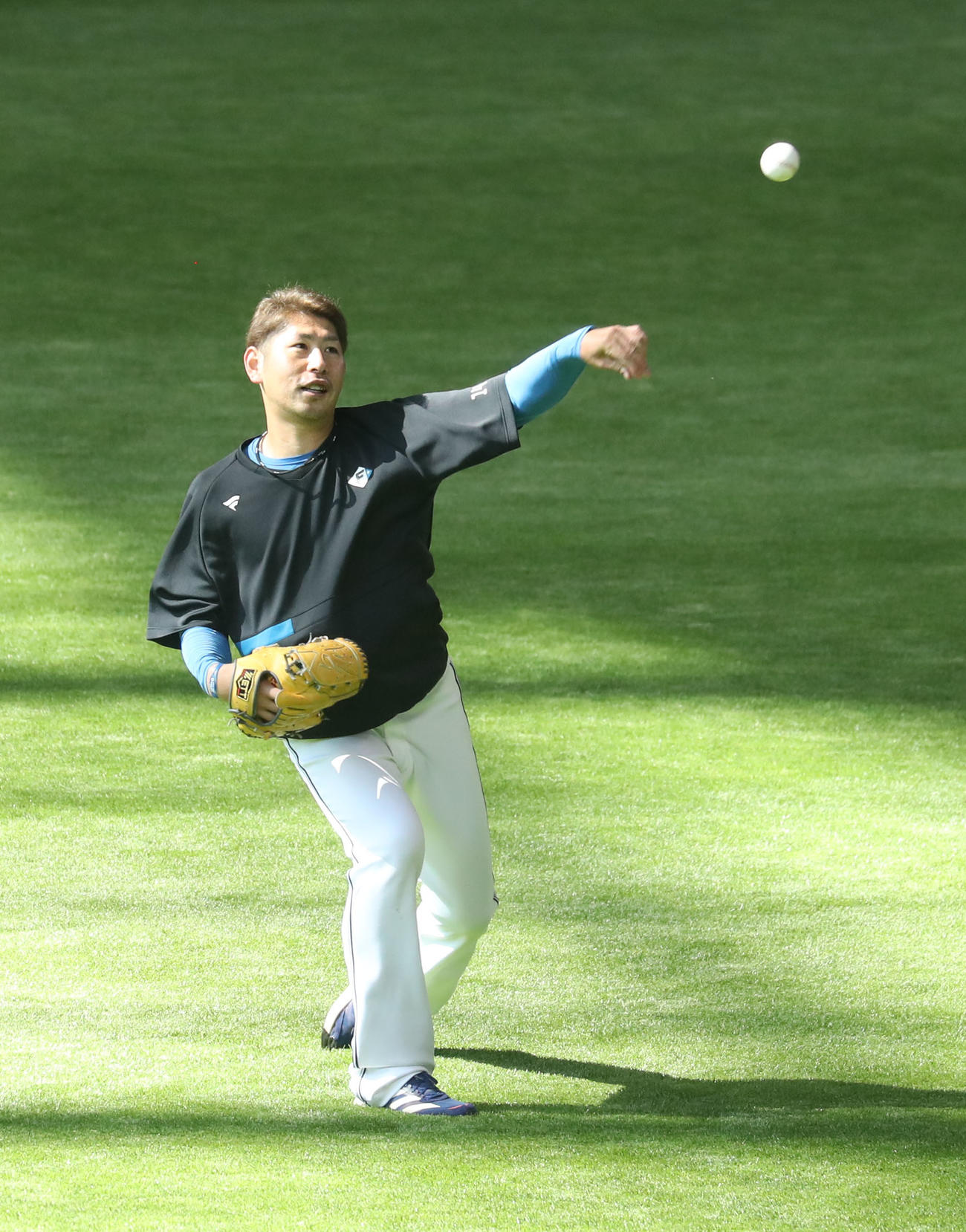 キャッチボールをする日本ハム加藤貴（撮影・佐藤翔太）