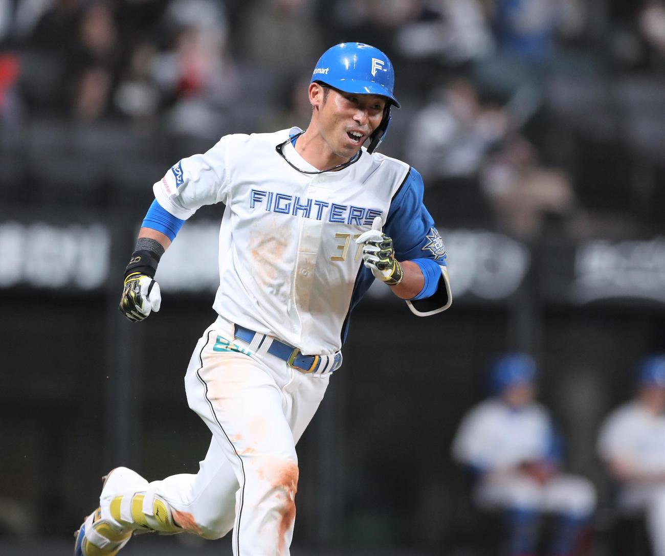 日本ハム江越大賀（2023年3月15日撮影）