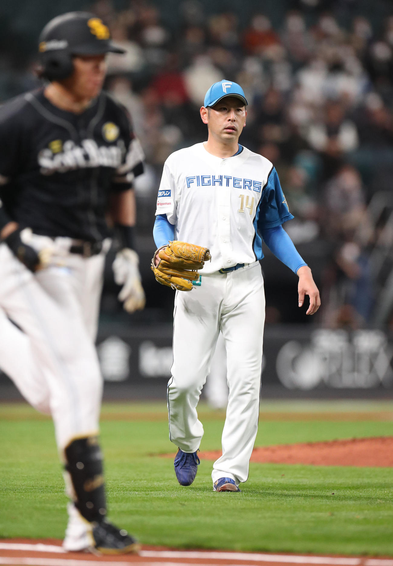日本ハム対ソフトバンク　3回表ソフトバンク2死、柳田（左手前）を二ゴロに仕留める加藤貴（撮影・佐藤翔太）