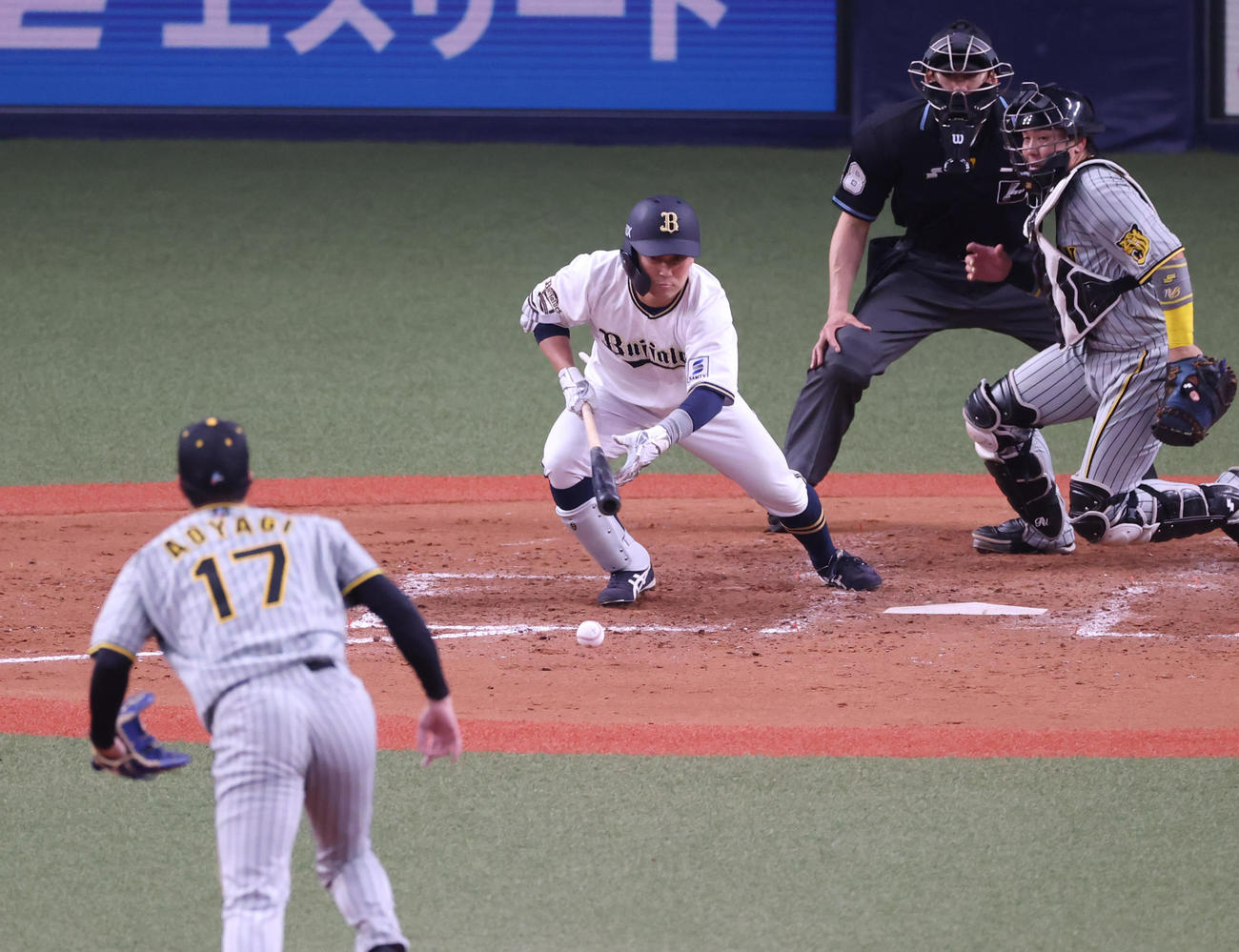 オリックス対阪神　4回裏オリックス1死一、三塁、西野が投前バントで適時内野安打とする。投手青柳（撮影・清水貴仁）