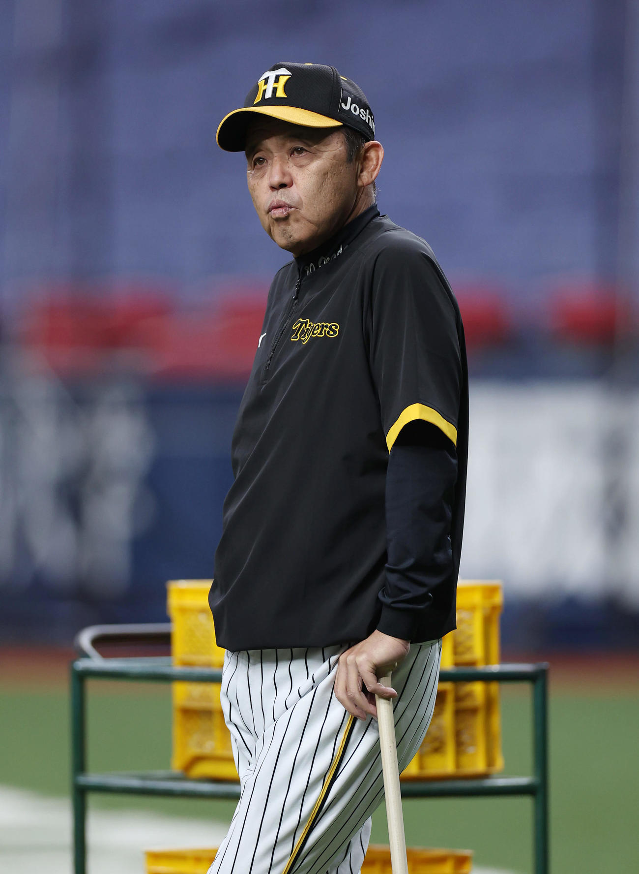 阪神対オリックス　試合前練習を見守る阪神岡田監督（撮影・前田充）