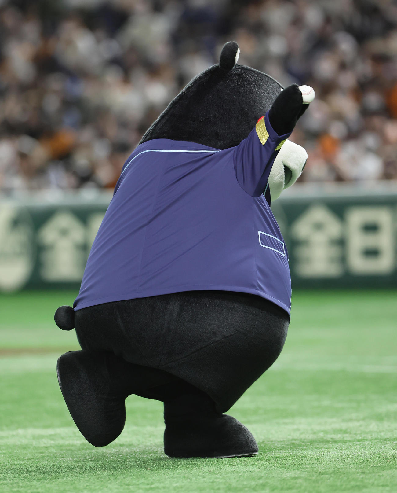 巨人対楽天　始球式を務めたくまモン（撮影・足立雅史）