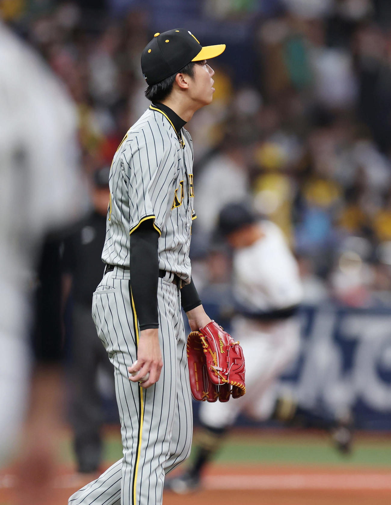 オリックス対阪神　3回裏オリックス1死、野口に右越え本塁打を浴びる才木（撮影・前田充）