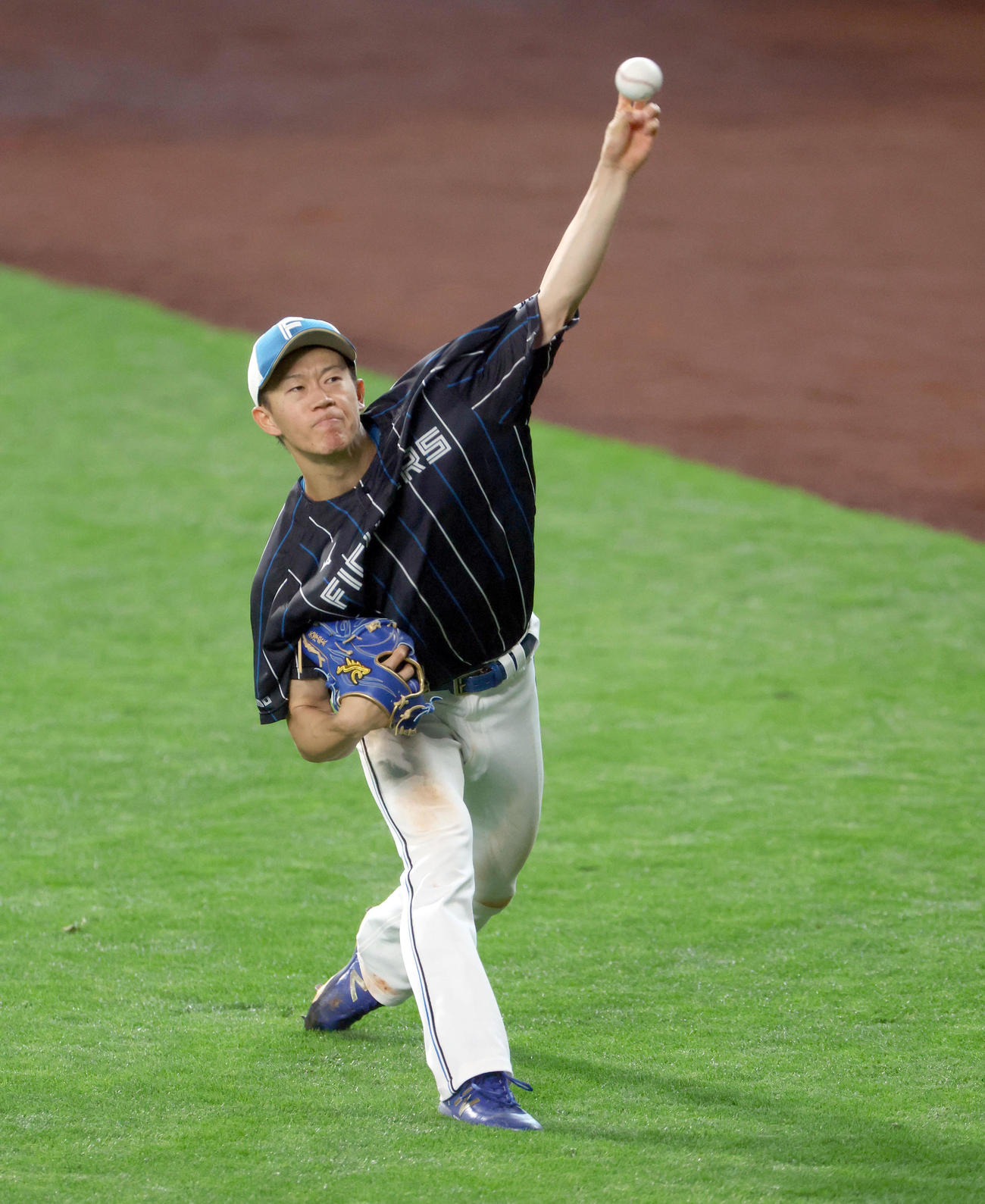 投球練習をする日本ハム矢沢（撮影・佐藤翔太）