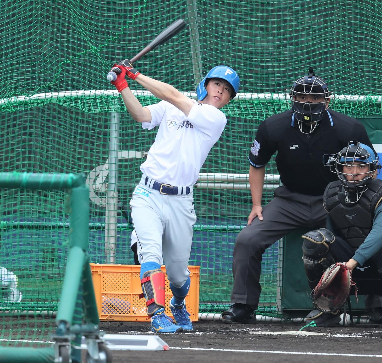 日本ハム五十幡亮汰（2023年2月4日撮影）