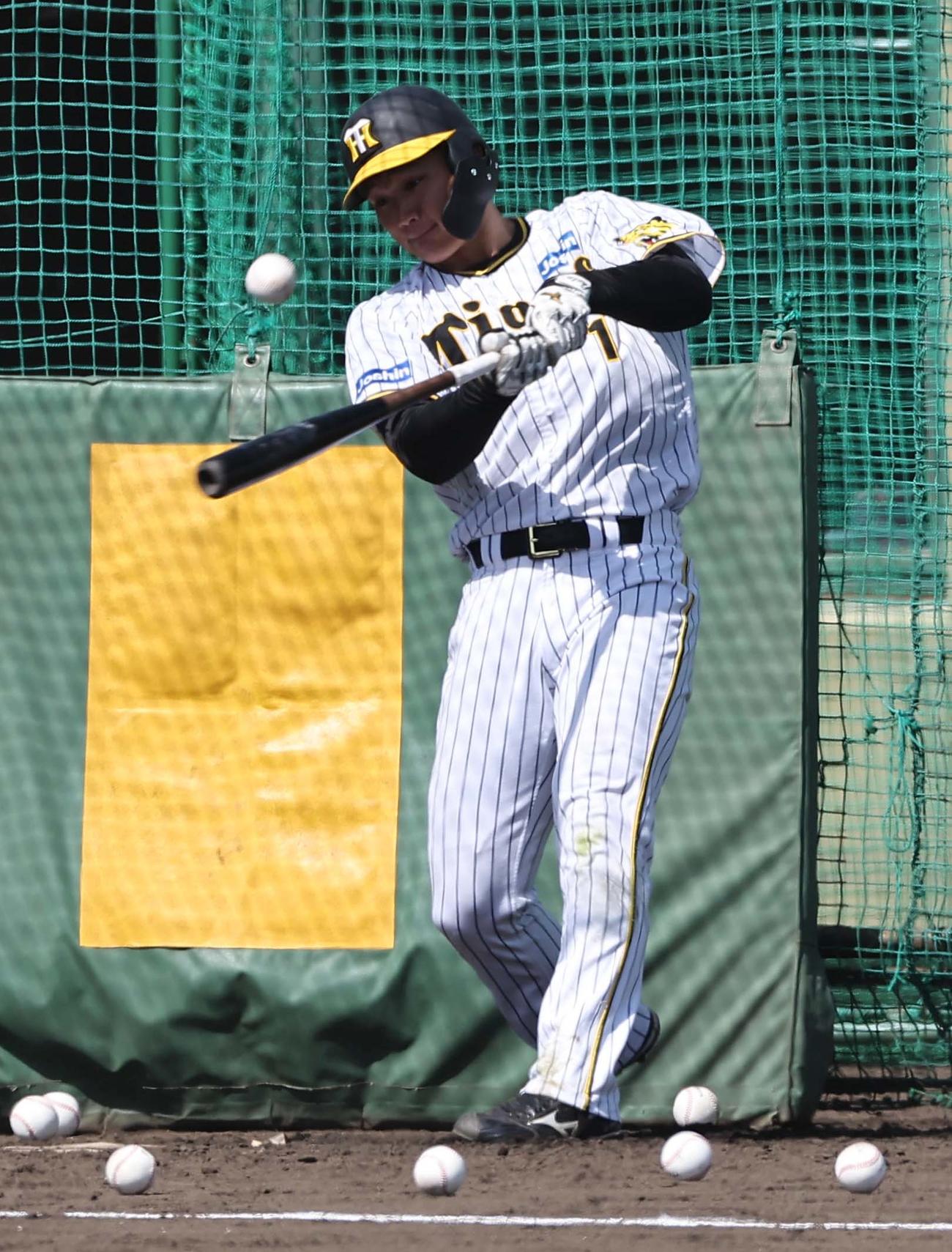 フリー打撃練習をする森下（撮影・上田博志）