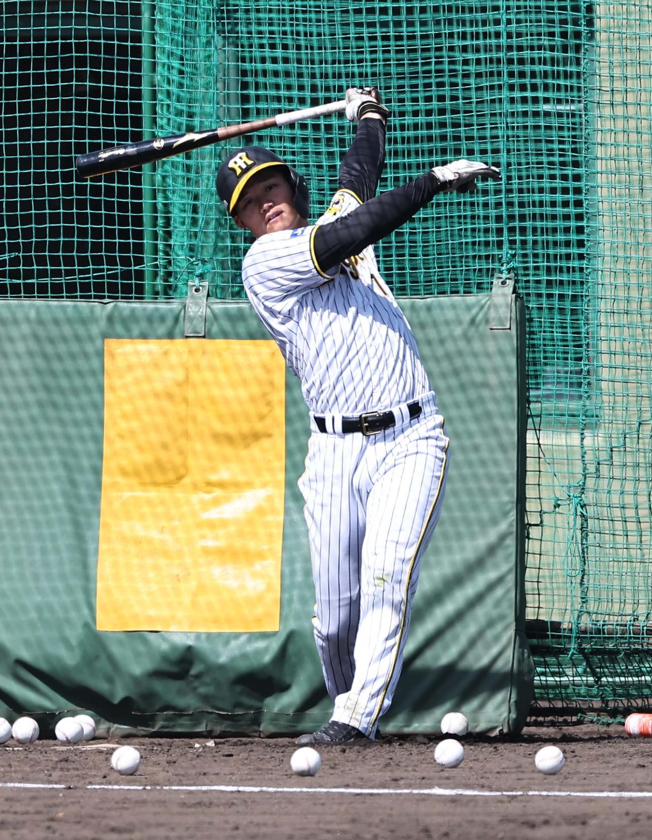 フリー打撃を行う森下（撮影・上田博志）