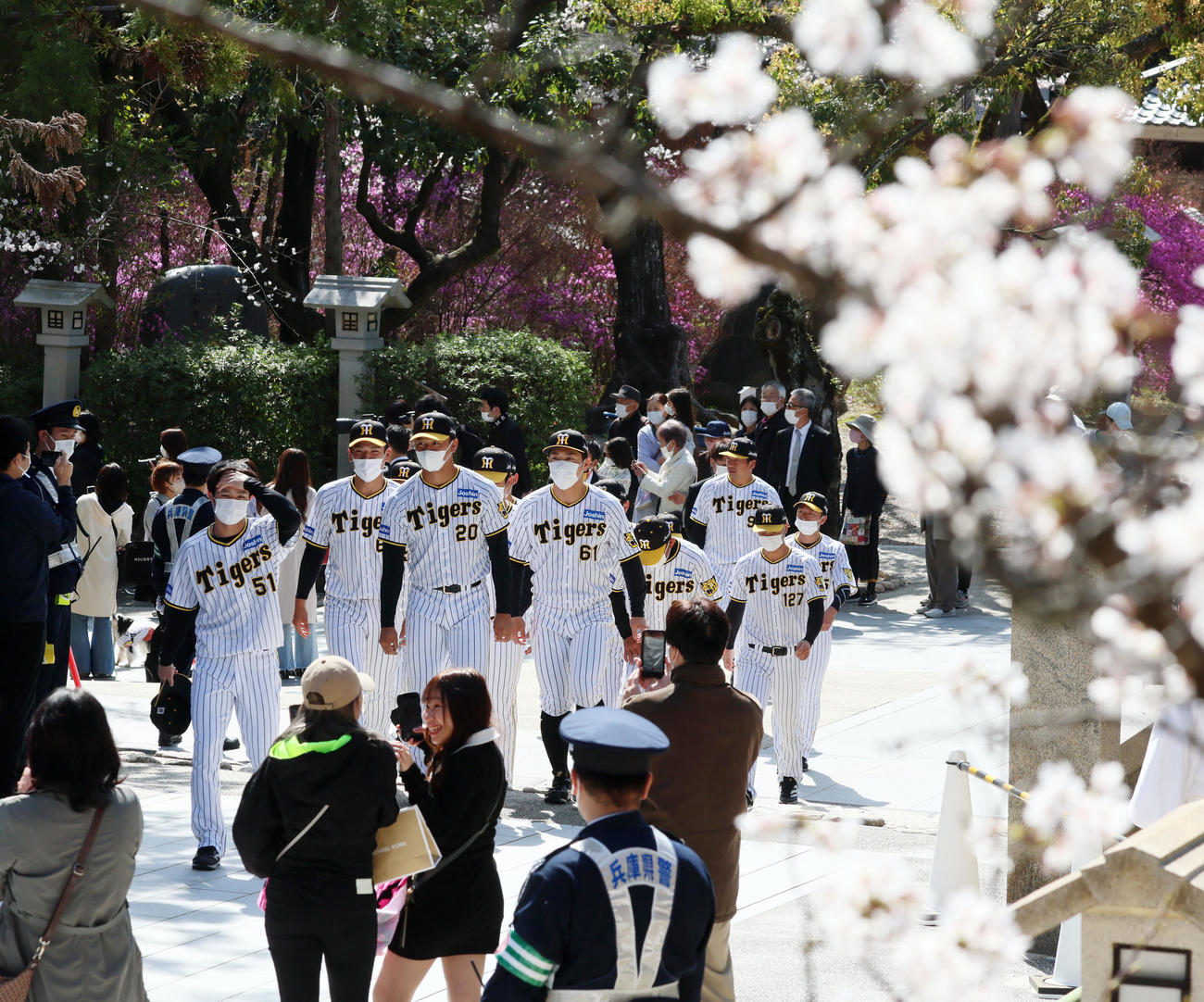 桜咲く中、拝殿へ向かう中野（左）ら（撮影・加藤哉）