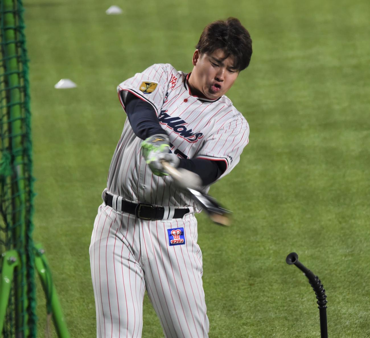 WBC優勝から1軍に初合流したヤクルト村上は入念にティー打撃を行う（撮影・鈴木正章）