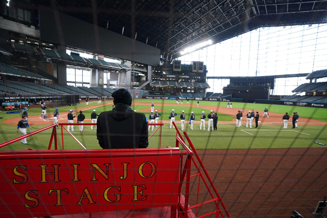 「SHINJO STAGE」から選手の動きを見つめる日本ハム新庄監督（撮影・井上学）