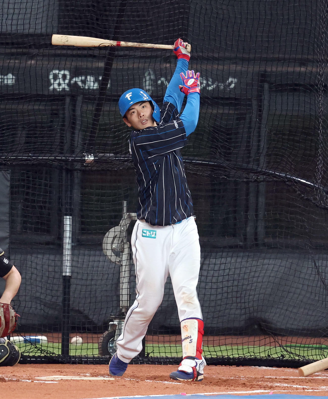 打撃練習をする日本ハム野村（撮影・佐藤翔太）