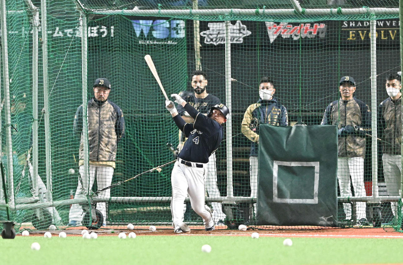 ベルーナドームでフリー打撃するオリックス森（撮影・滝沢徹郎）