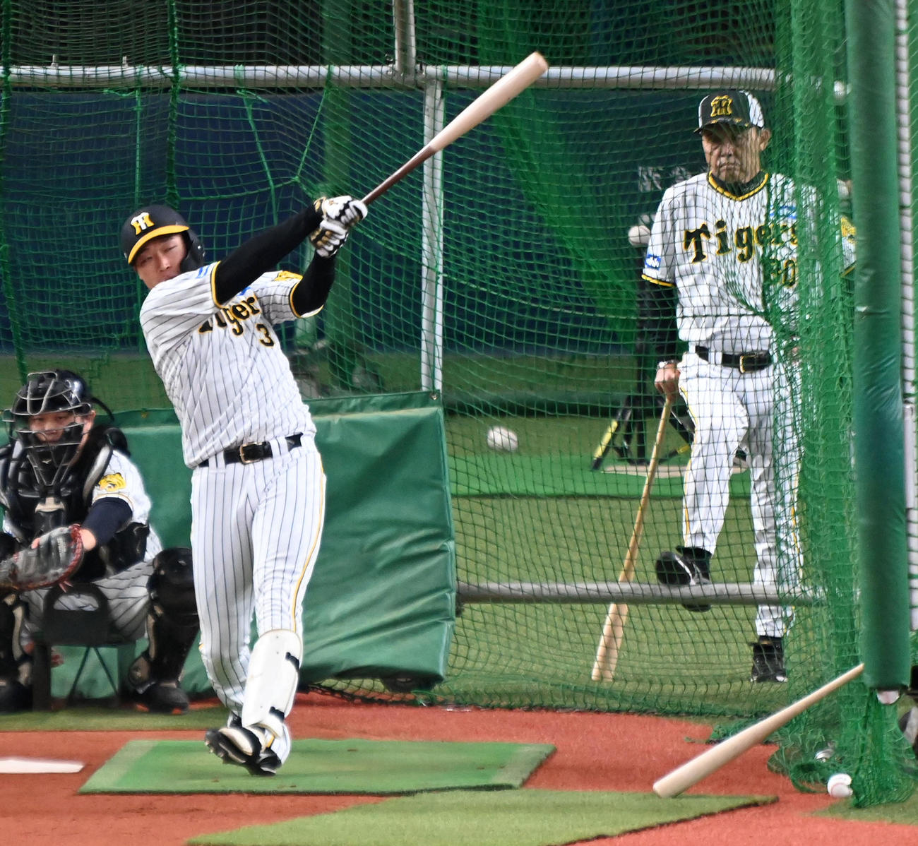 岡田監督が見守る中、打撃練習を行う大山（撮影・前岡正明）