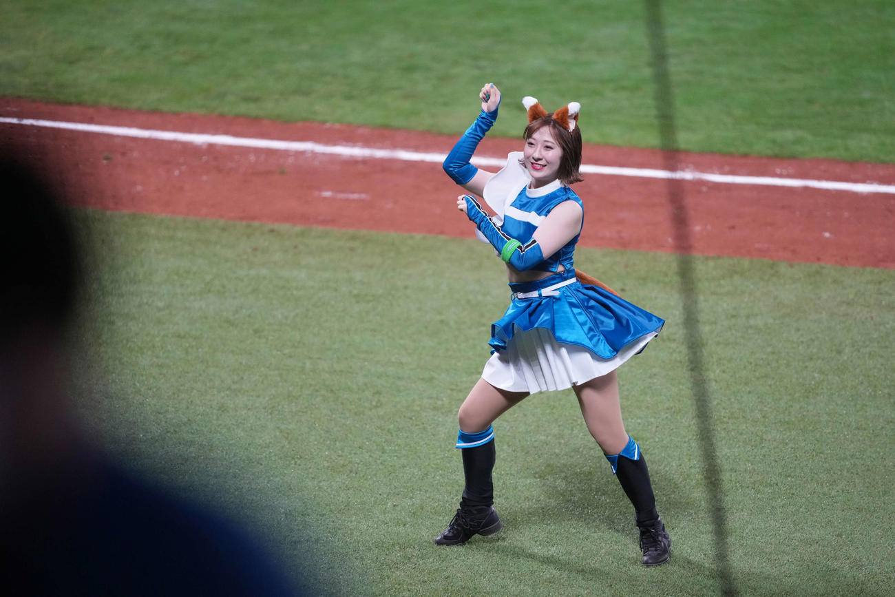 日本ハム対楽天　きつねダンスを躍るファイターズガール（撮影・井上学）