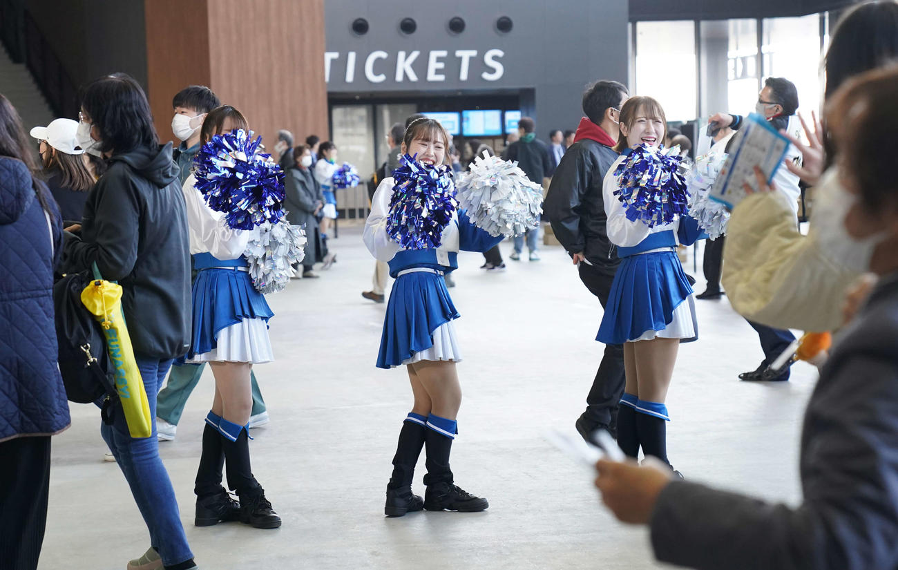 日本ハム対楽天観客を出迎えるファイターズガール（撮影・井上学）