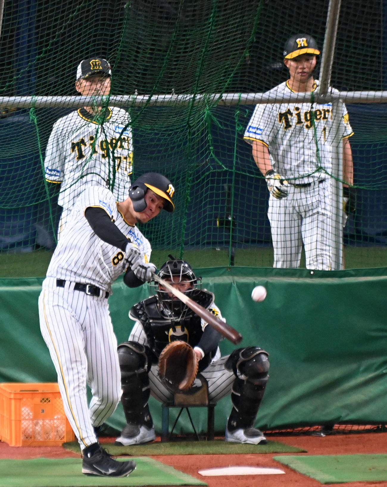 打撃練習を行う佐藤輝（撮影・前岡正明）
