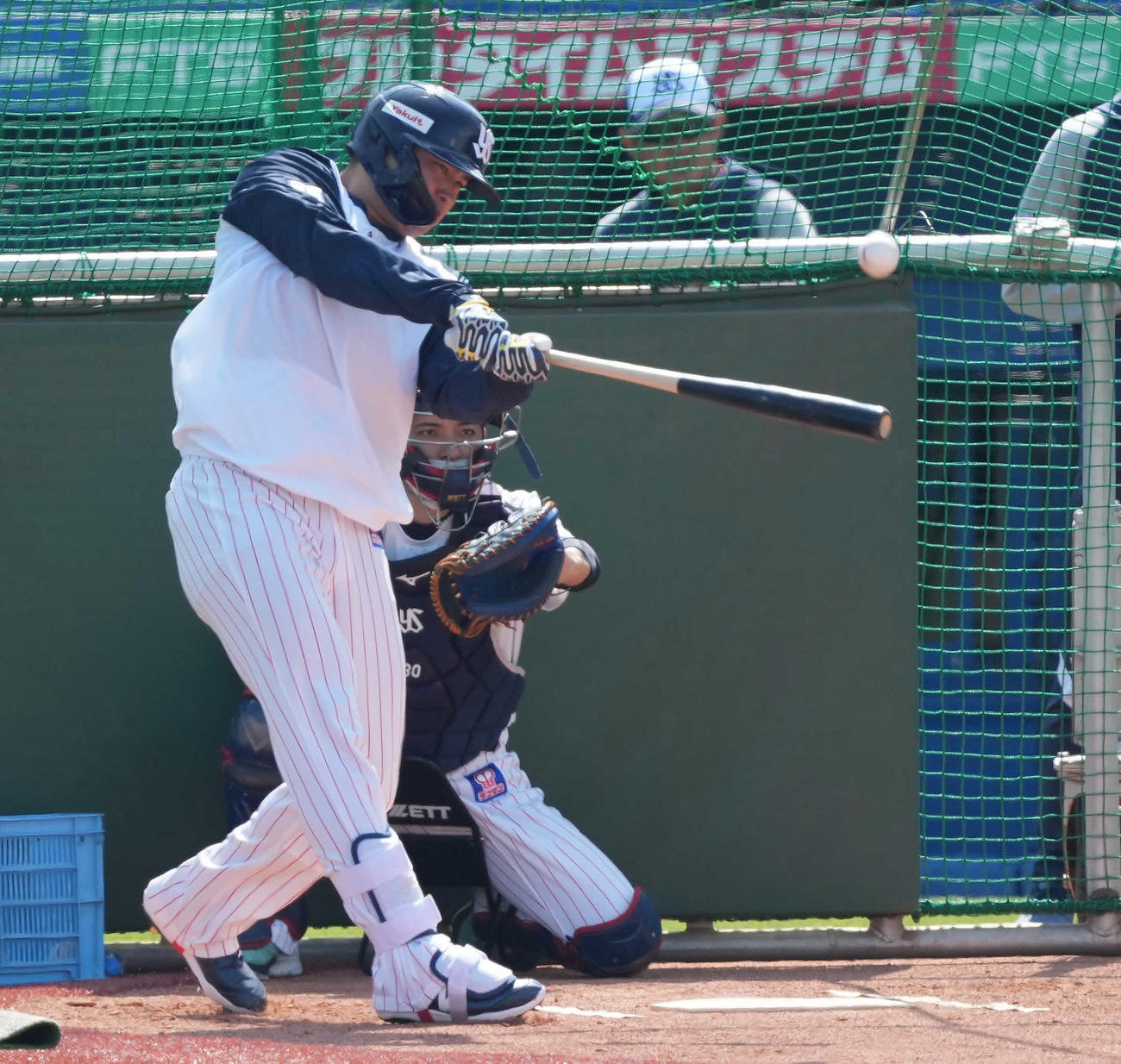 フリー打撃するヤクルト村上（撮影・鈴木みどり）