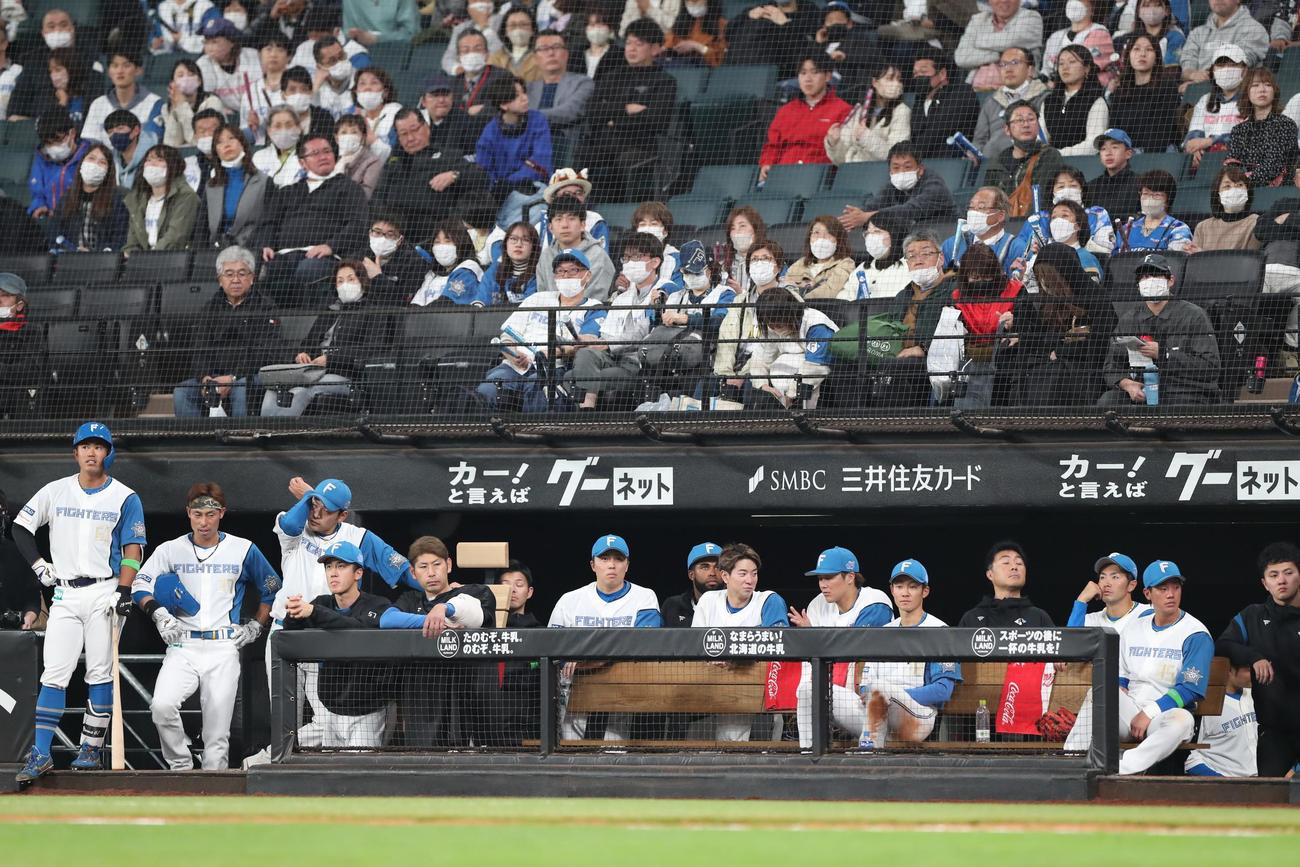 日本ハム対楽天　ベンチで渋い表情の日本ハムナイン（撮影・黒川智章）