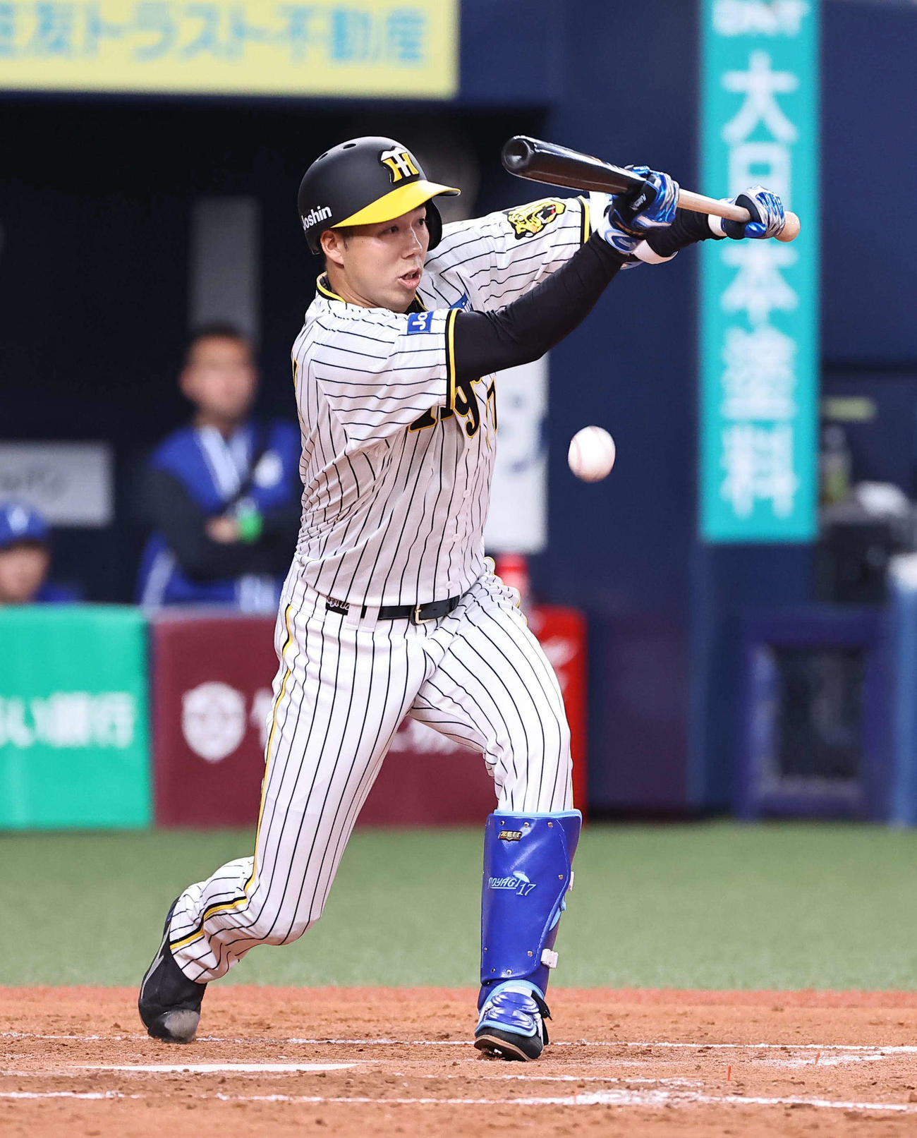 阪神対DeNA 4回裏阪神1死一、三塁、青柳はスクイズを決める（撮影・上田博志）