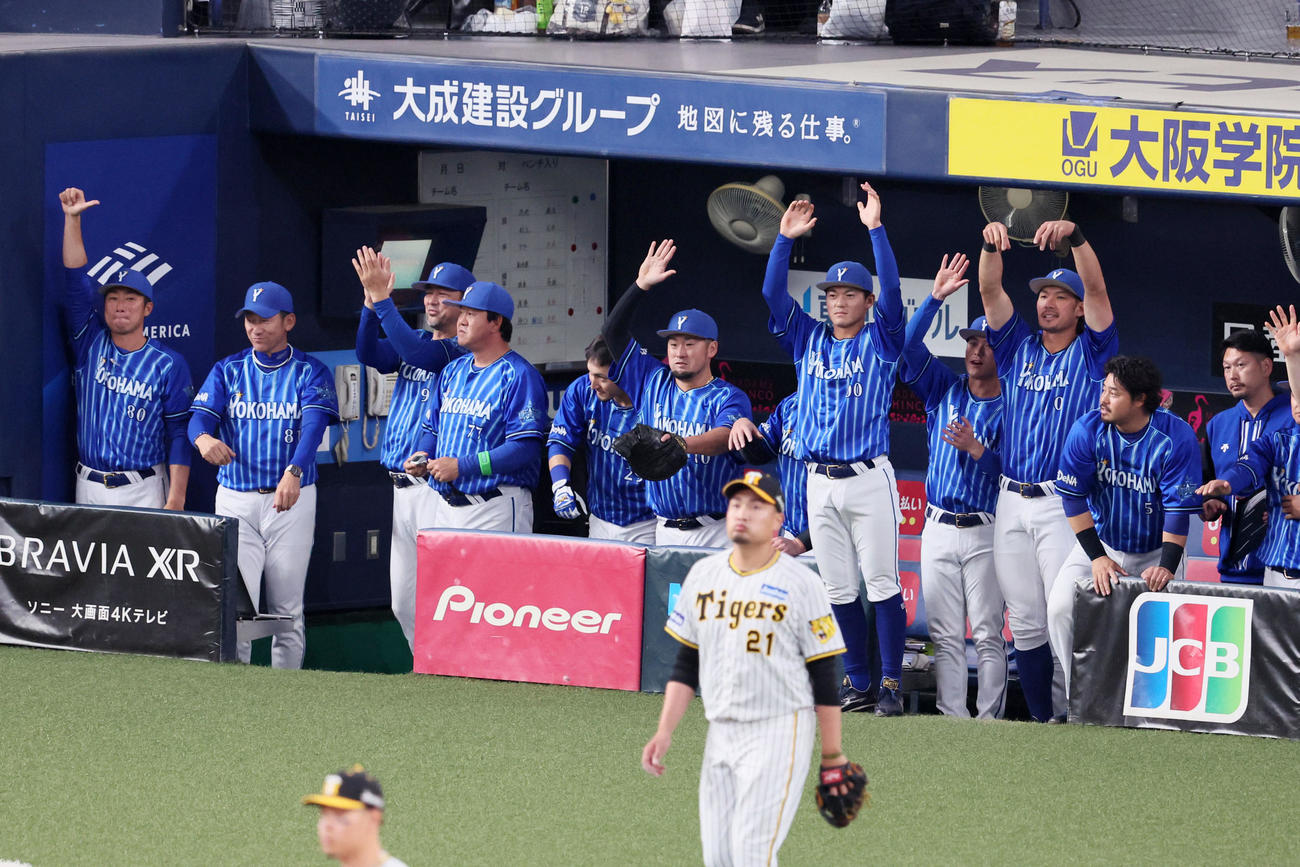 阪神対DeNA 1回表DeNA2死二、三塁、ソトの右越えに適時二塁打で盛り上がるベンチのナイン（撮影・加藤哉）