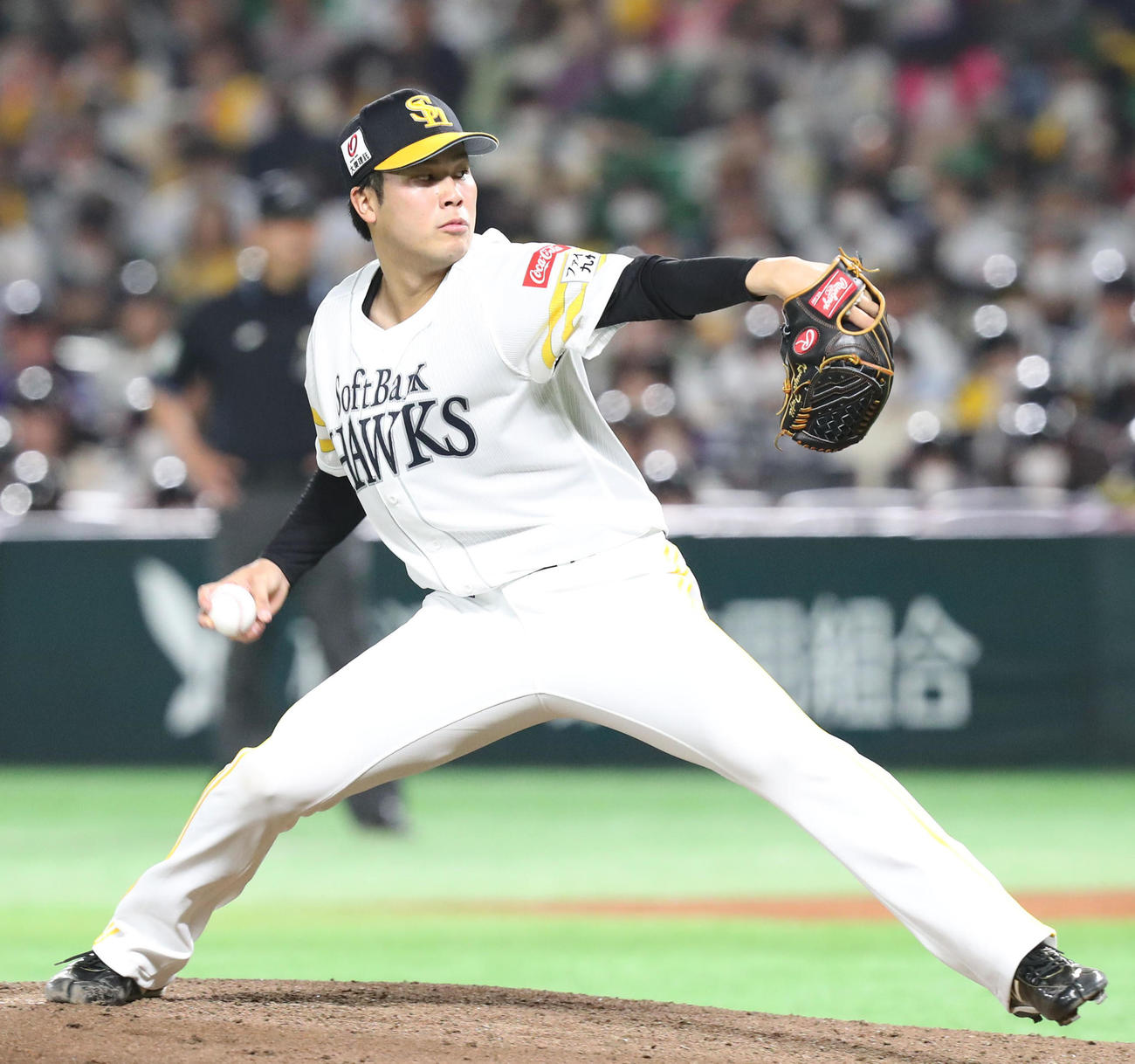 ソフトバンク対ロッテ　先発・藤井皓哉（撮影・冨田成美）