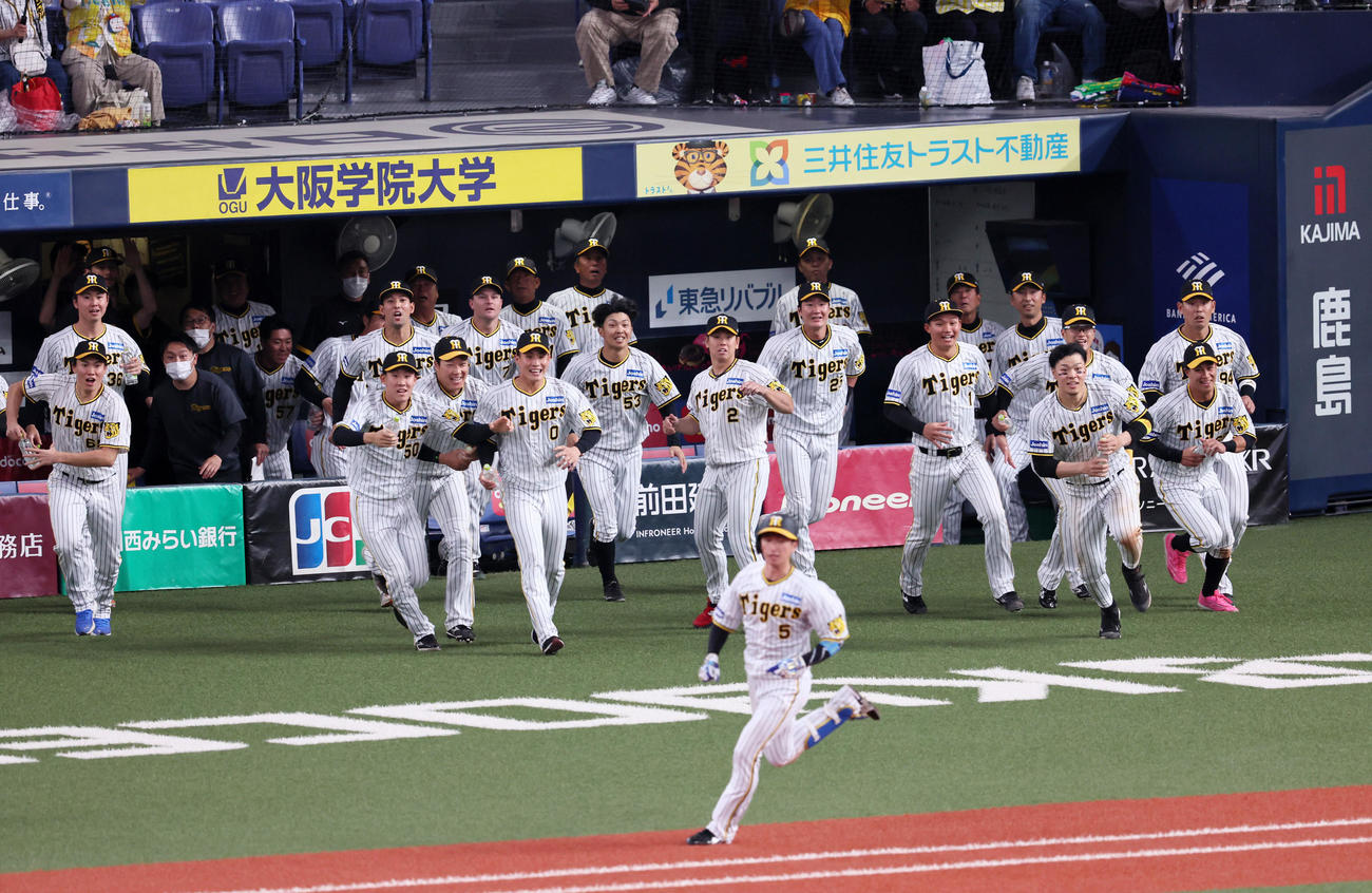 阪神対DeNA 12回裏阪神2死満塁、近本のサヨナラ中前適時打でベンチからナインが笑顔で駆け出した（撮影・加藤哉）