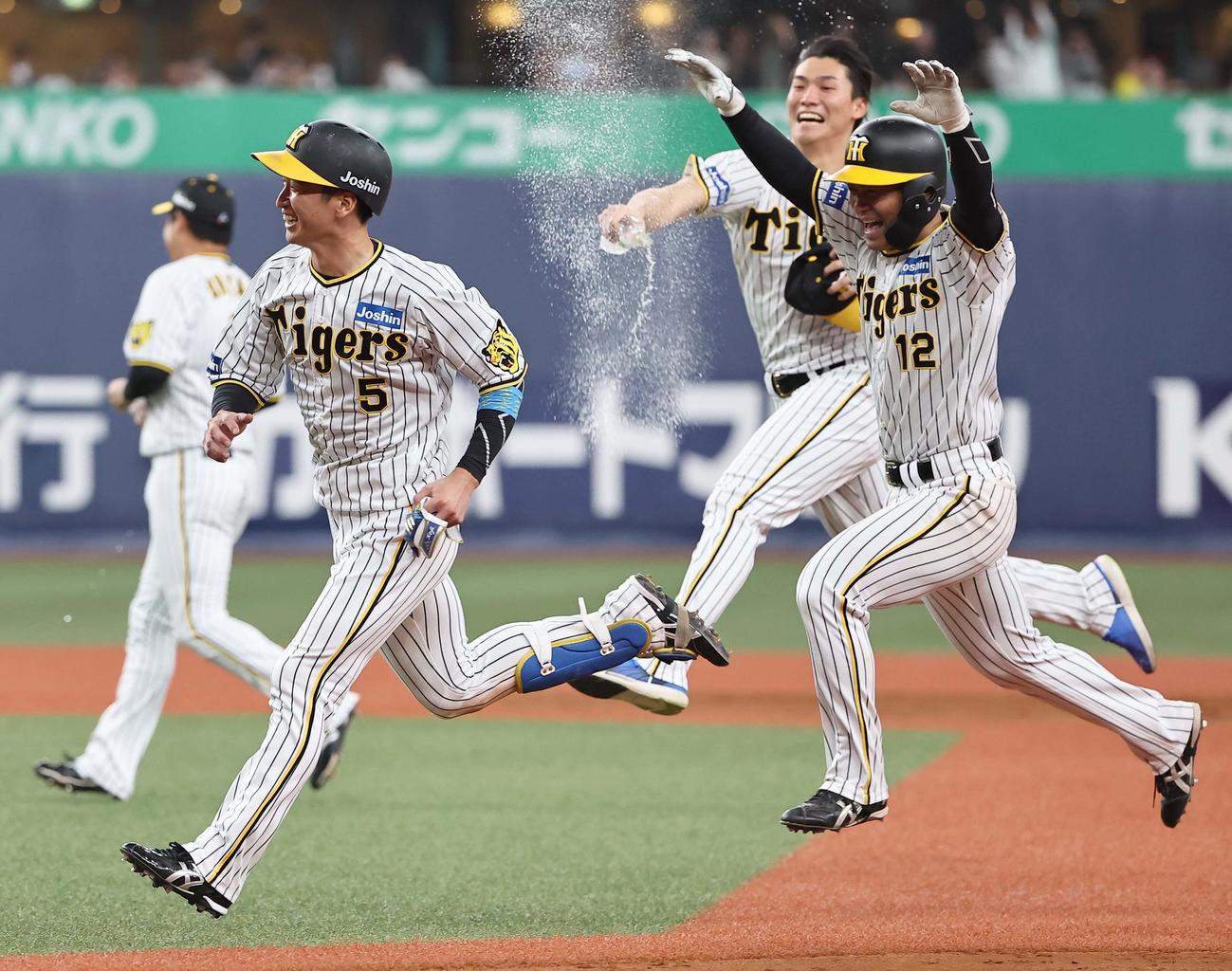 阪神対DeNA 12回裏阪神2死満塁、サヨナラ安打を放った近本（左）は、ナインのウオーターシャワーから逃げ回る（撮影・上田博志）