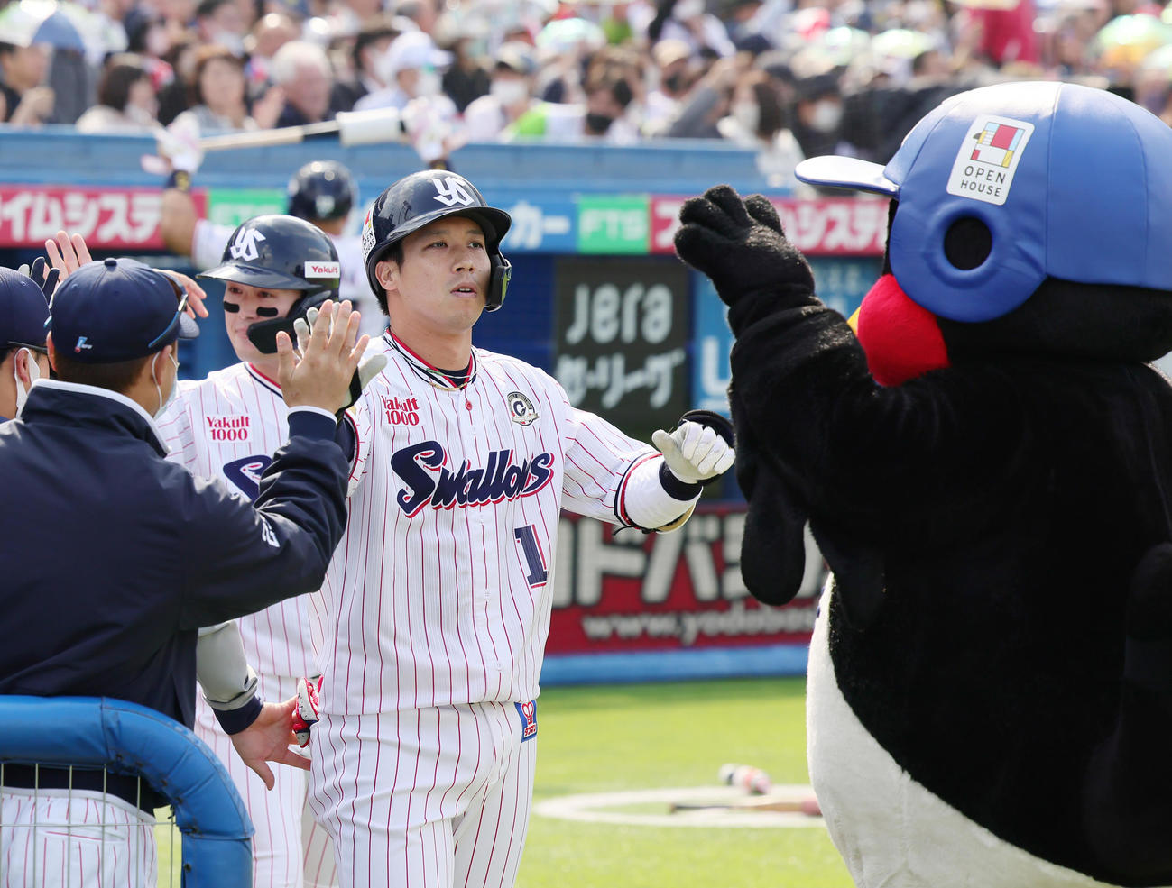 ヤクルト対広島　3回裏ヤクルト1死二塁、山田は左越え2点本塁打を放ちつば九郎らとタッチを交わす（撮影・足立雅史）