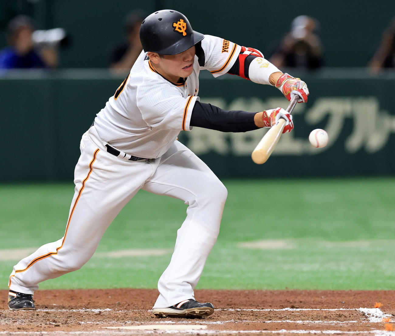 巨人対中日　7回裏巨人無死一、二塁、坂本は送りバントを決める（撮影・浅見桂子）