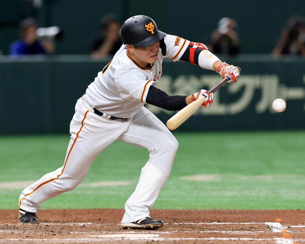 巨人対中日　7回裏巨人無死一、二塁、坂本は送りバントを決める（撮影・浅見桂子）