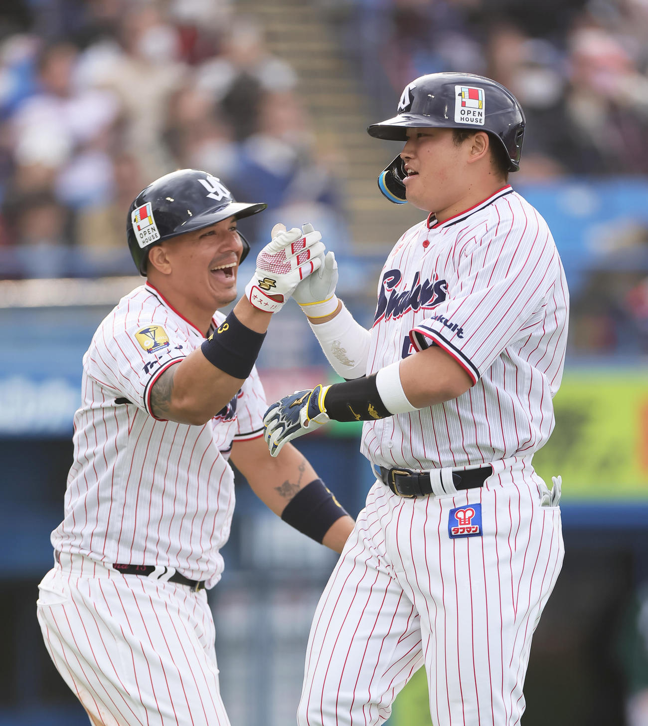 ヤクルト対広島　8回裏ヤクルト無死、村上（右）は二塁打と右翼手野間ファンブルの間に生還しオスナとタッチを交わす（撮影・足立雅史）