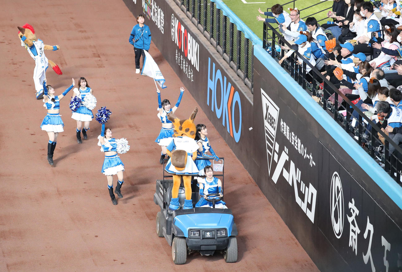 日本ハム対楽天　外野席前を車に乗りながら通過するファイターズガール（撮影・佐藤翔太）