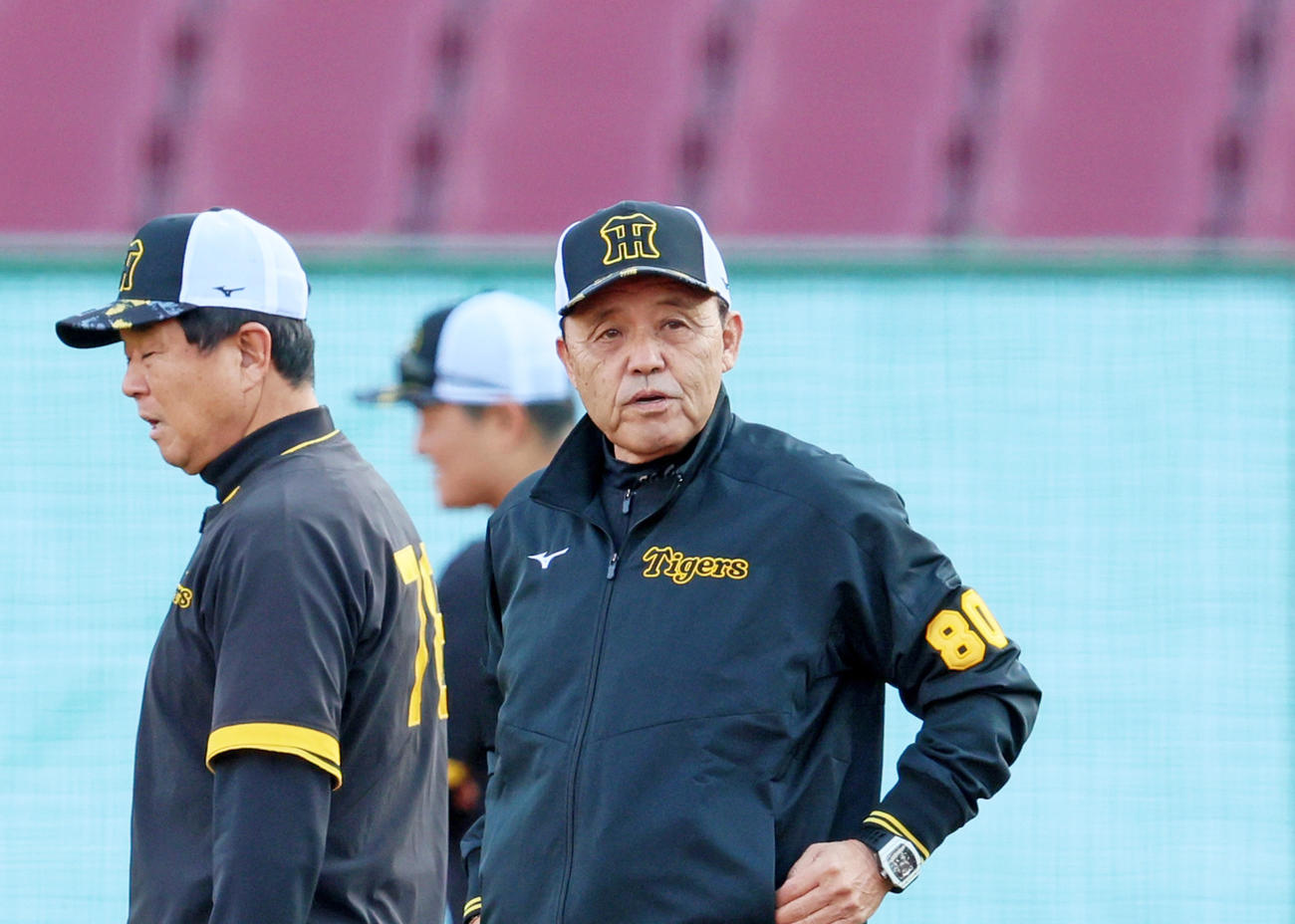 ナイター練習を行った阪神の岡田監督（撮影・加藤哉）