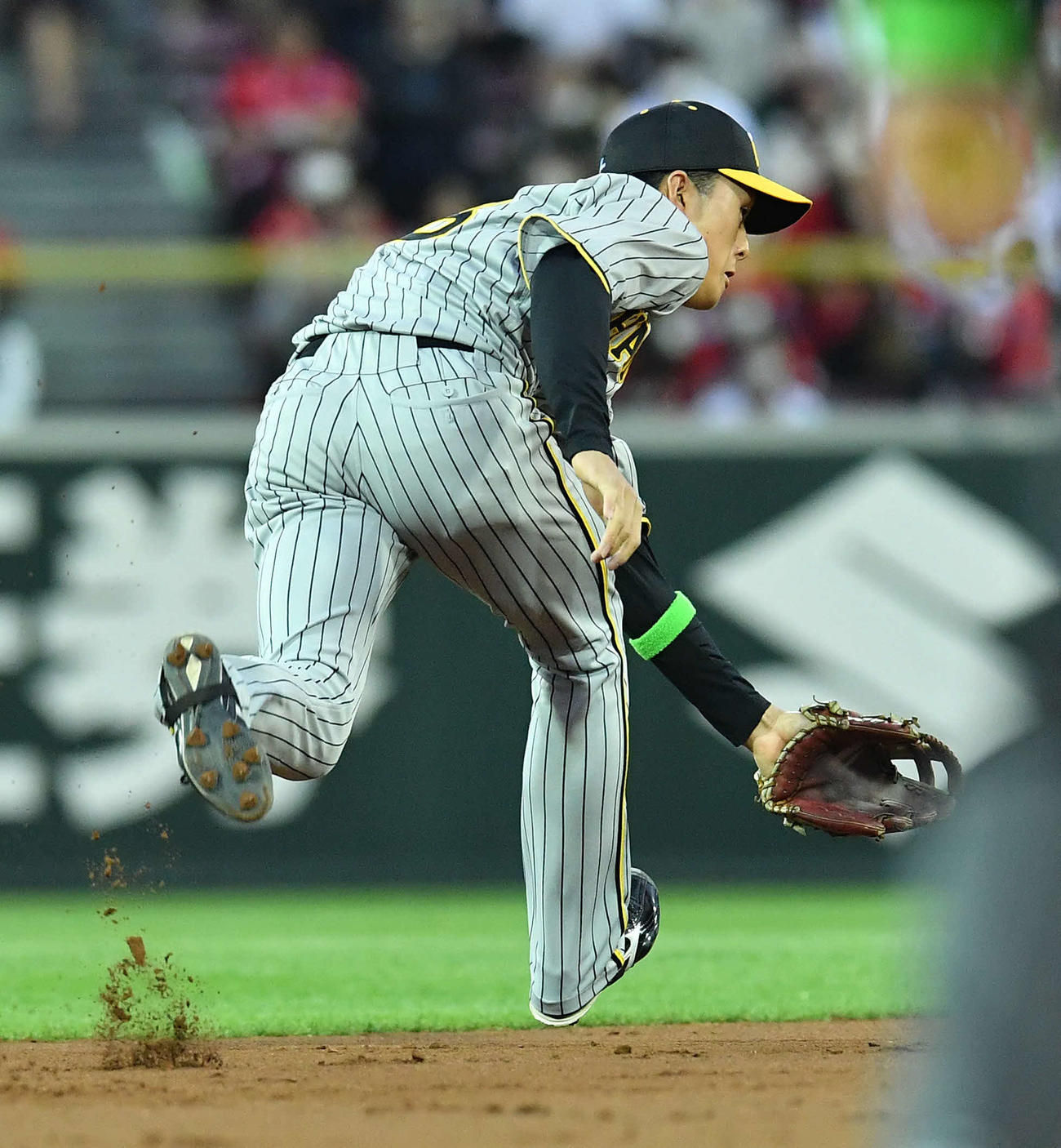 広島対阪神　1回裏広島無死、菊池の遊ゴロを好守する小幡（撮影・岩下翔太）
