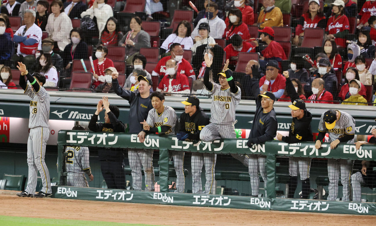 広島対阪神　9回表阪神2死二塁、大山の左越えに適時二塁打に盛り上がるベンチのナイン（撮影・加藤哉）