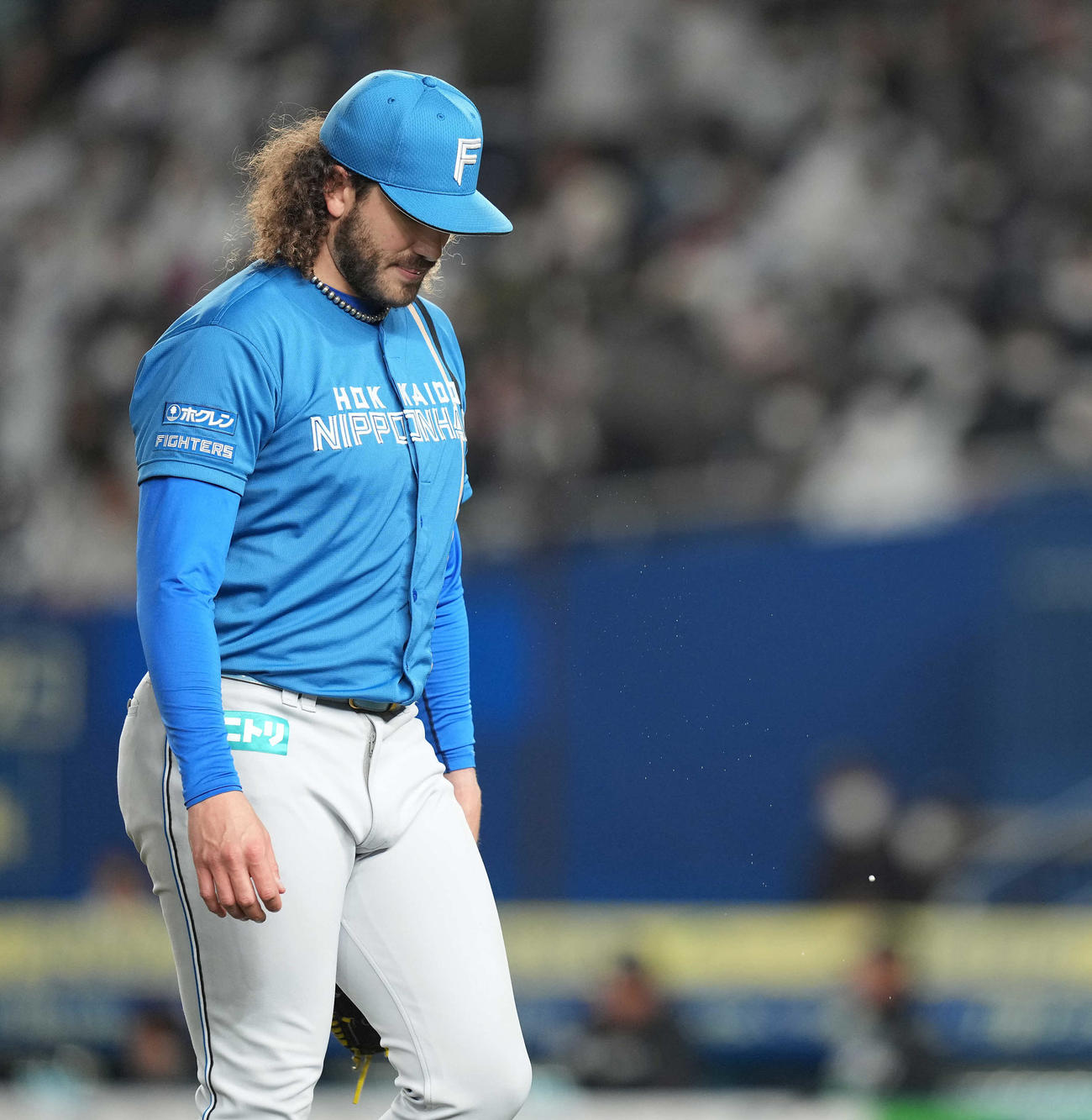 ロッテ対日本ハム　3回裏を終え、うつむきながらっベンチへ戻る日本ハムのポンセ（撮影・鈴木みどり）