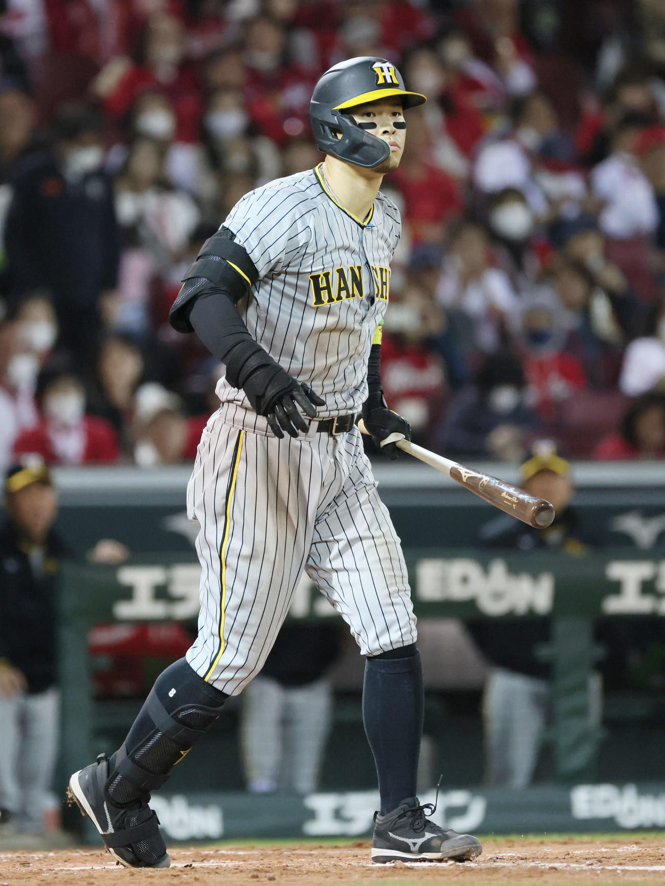 広島対阪神　4回表阪神1死、佐藤輝は四球（撮影・加藤孝規）